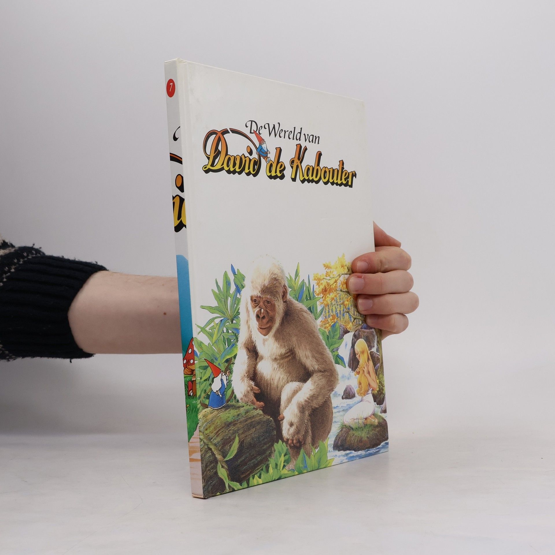 Auteurscollectief De Wereld van David de Kabouter 7.