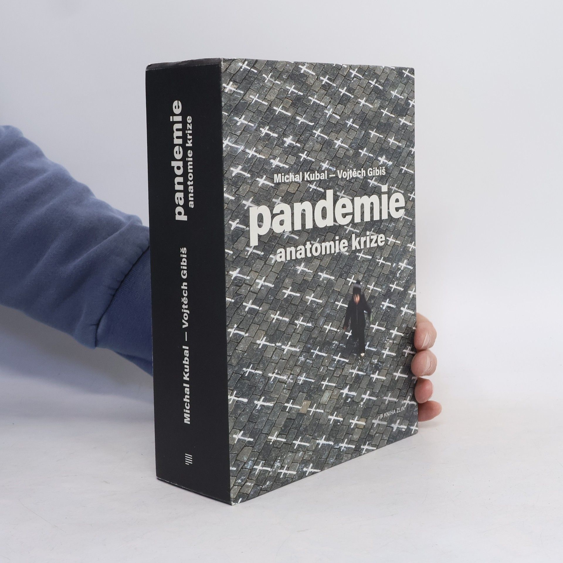 Pandemie : anatomie krize