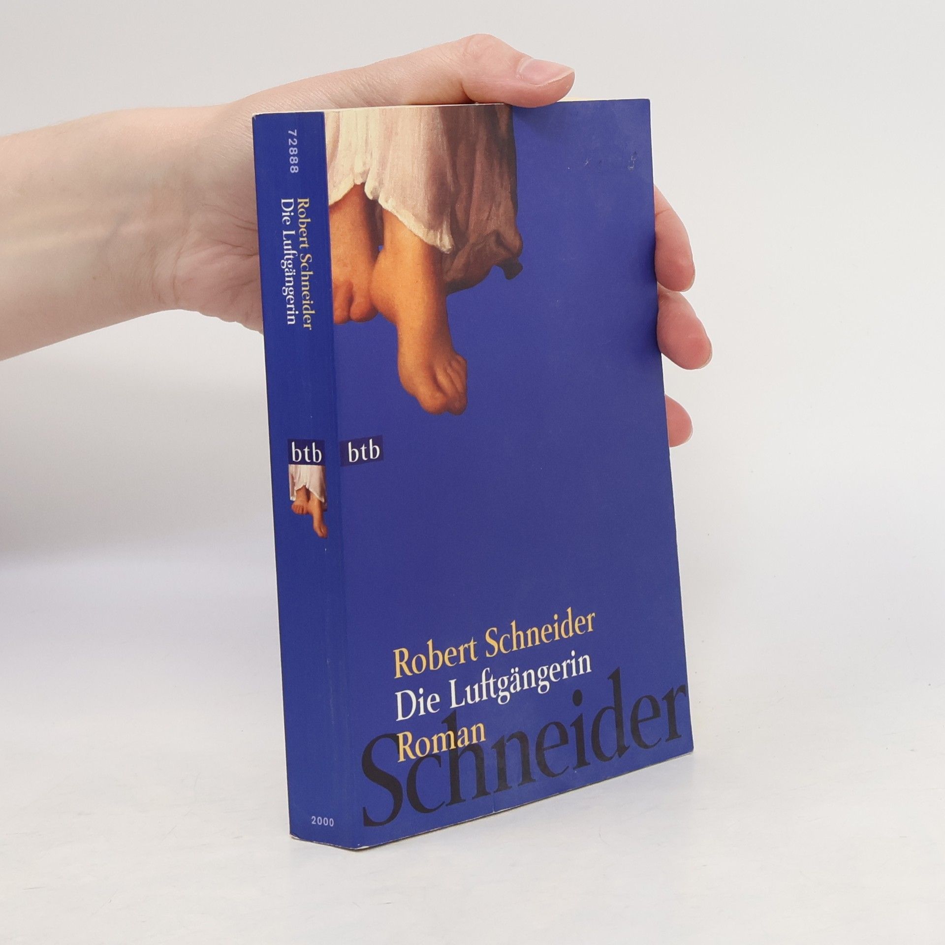 Robert Schneider Die Luftgängerin