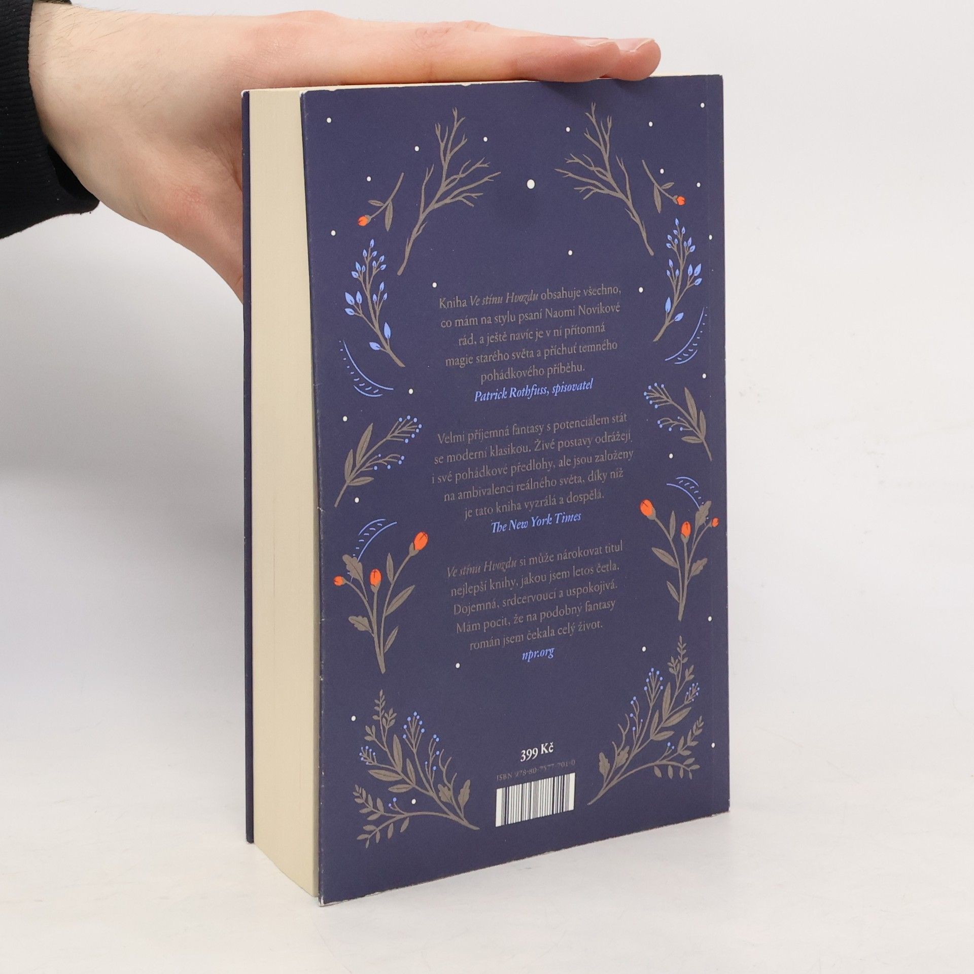 Naomi Novik Ve stínu Hvozdu