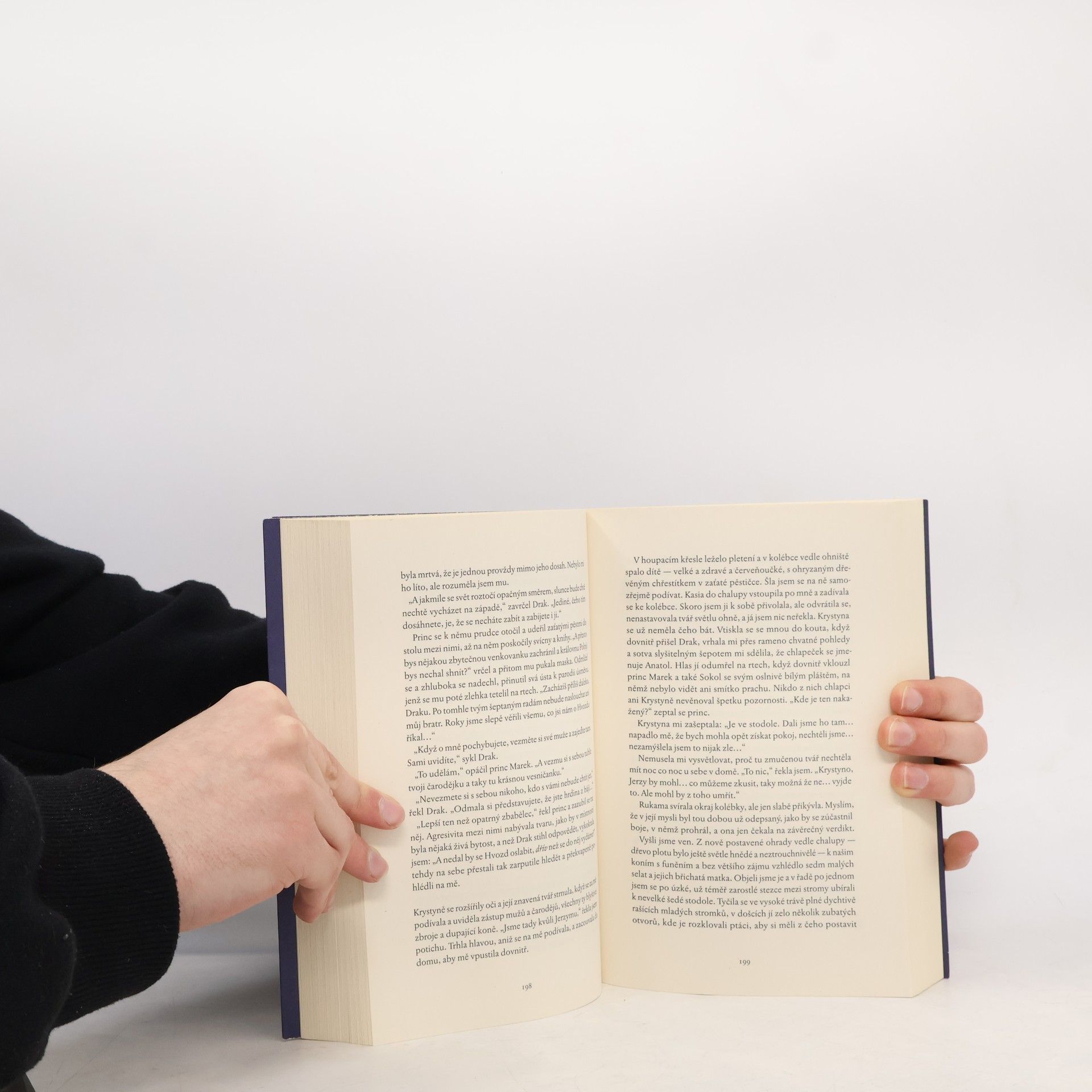 Naomi Novik Ve stínu Hvozdu
