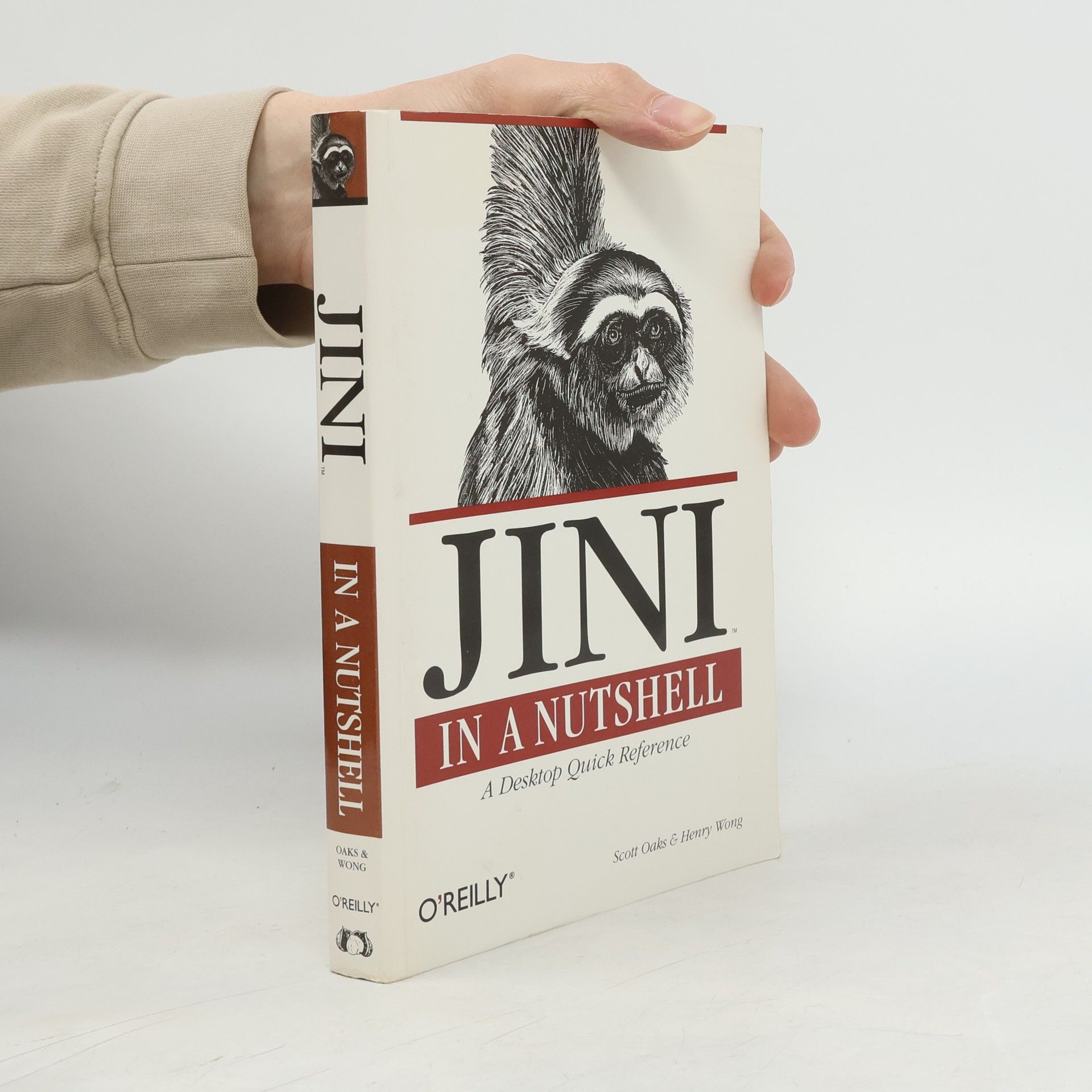 Jini in a Nutshell