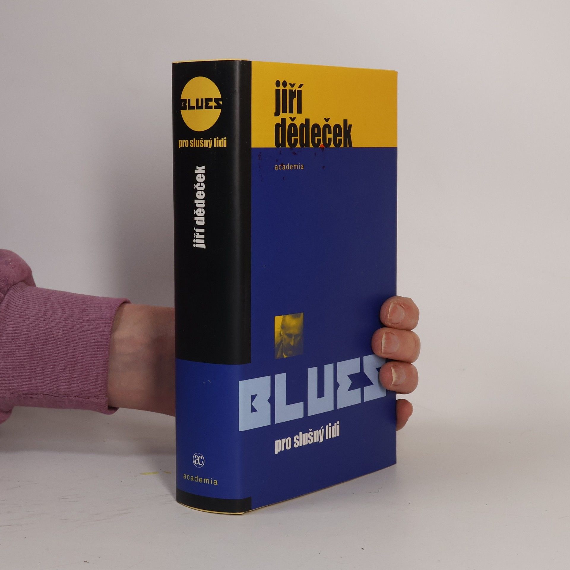 Jiří Dědeček Blues pro slušný lidi