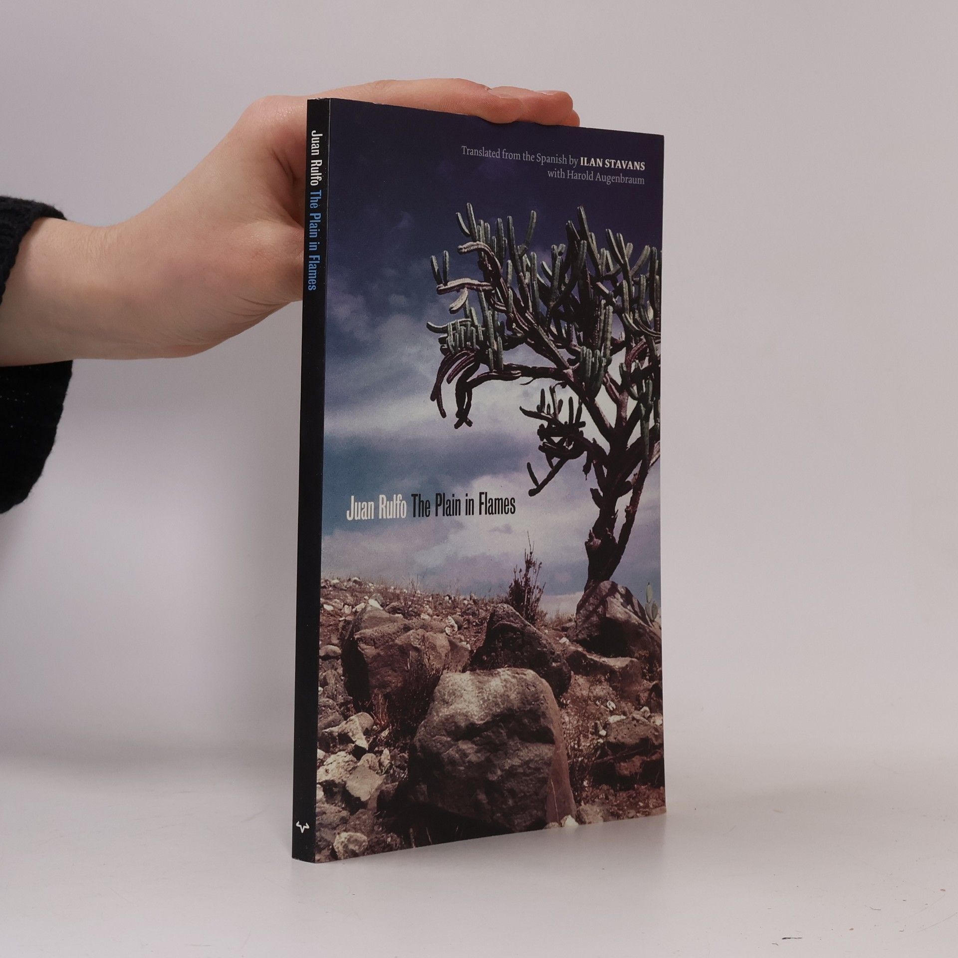 Ilan Stavans The Plain in Flames
