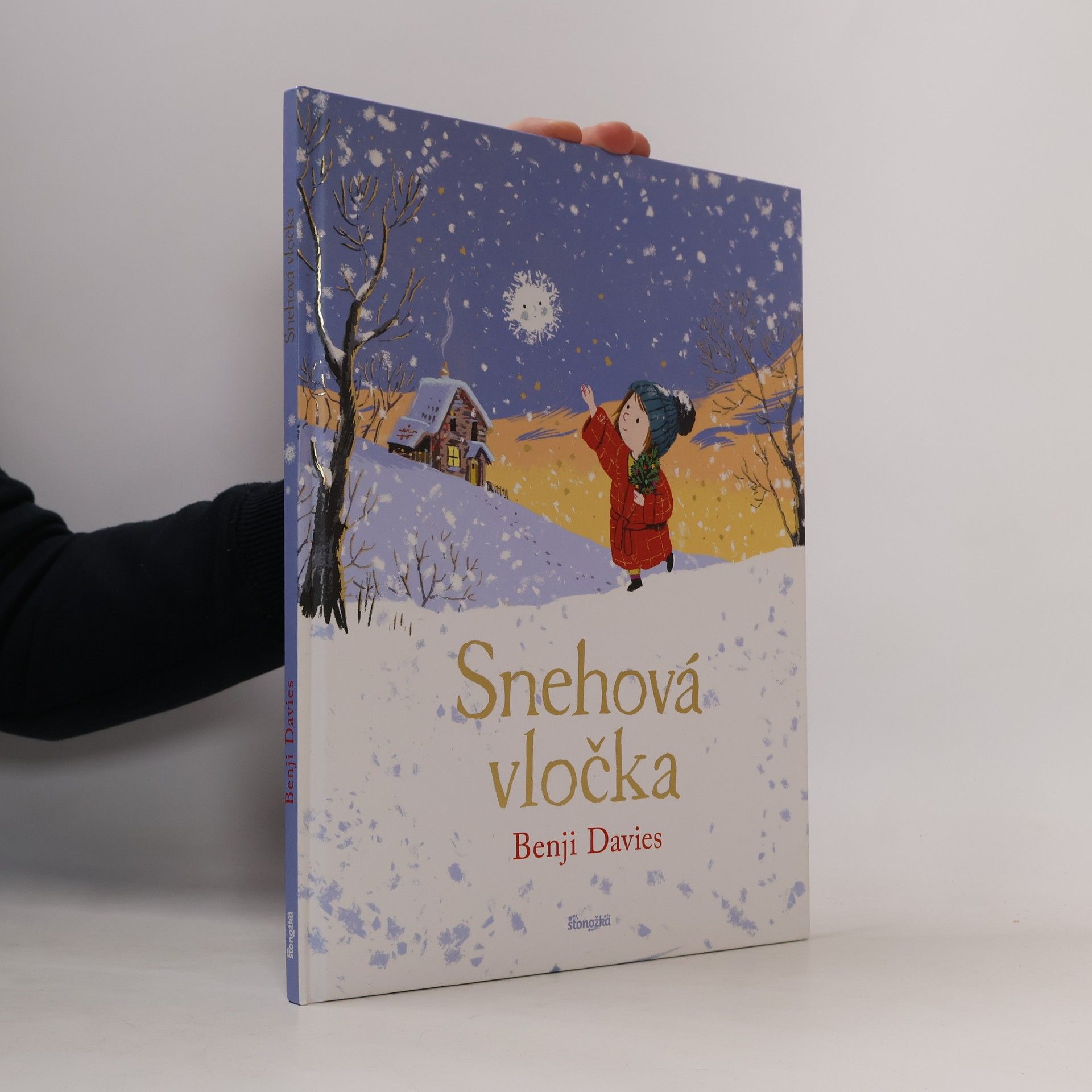 Benji Davies Snehová vločka