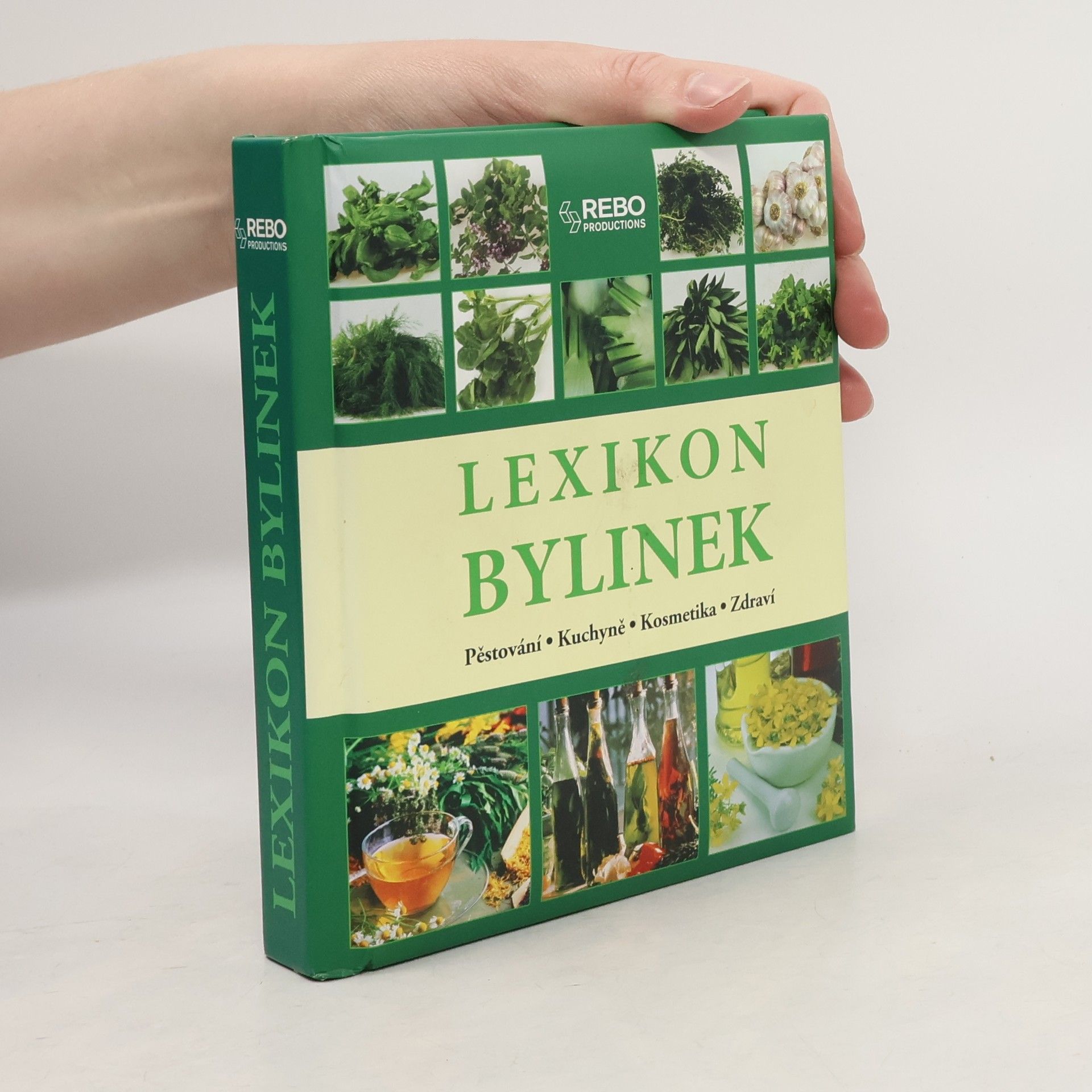 Andrea Rausch Lexikon bylinek