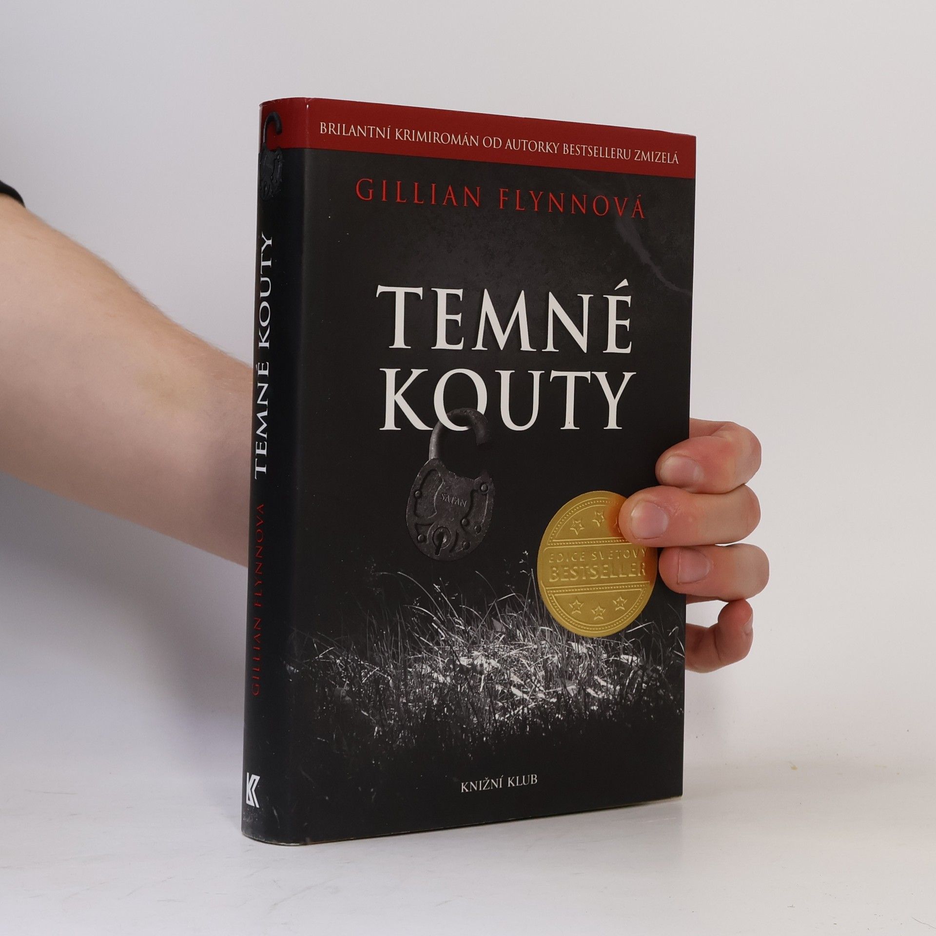 Gillian Flynn Temné kouty