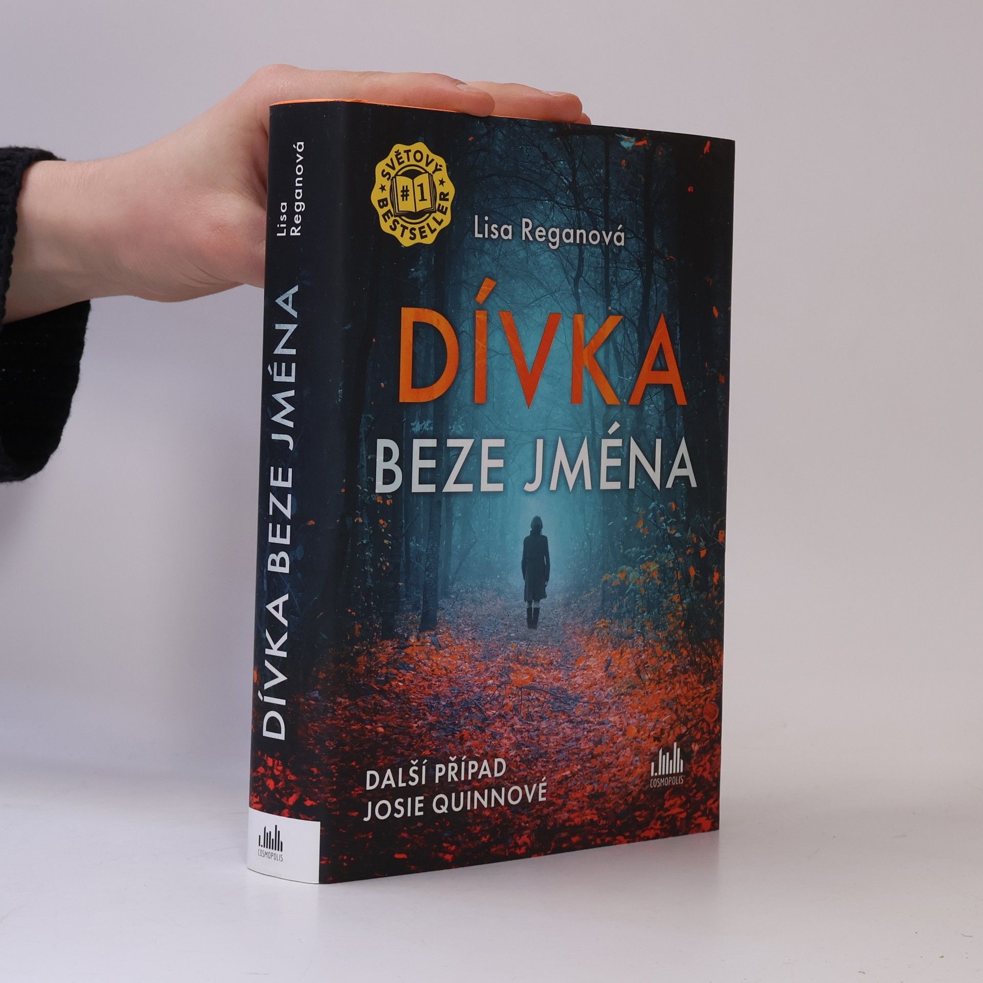 Lisa Regan Dívka beze jména: Další případ Josie Quinnové