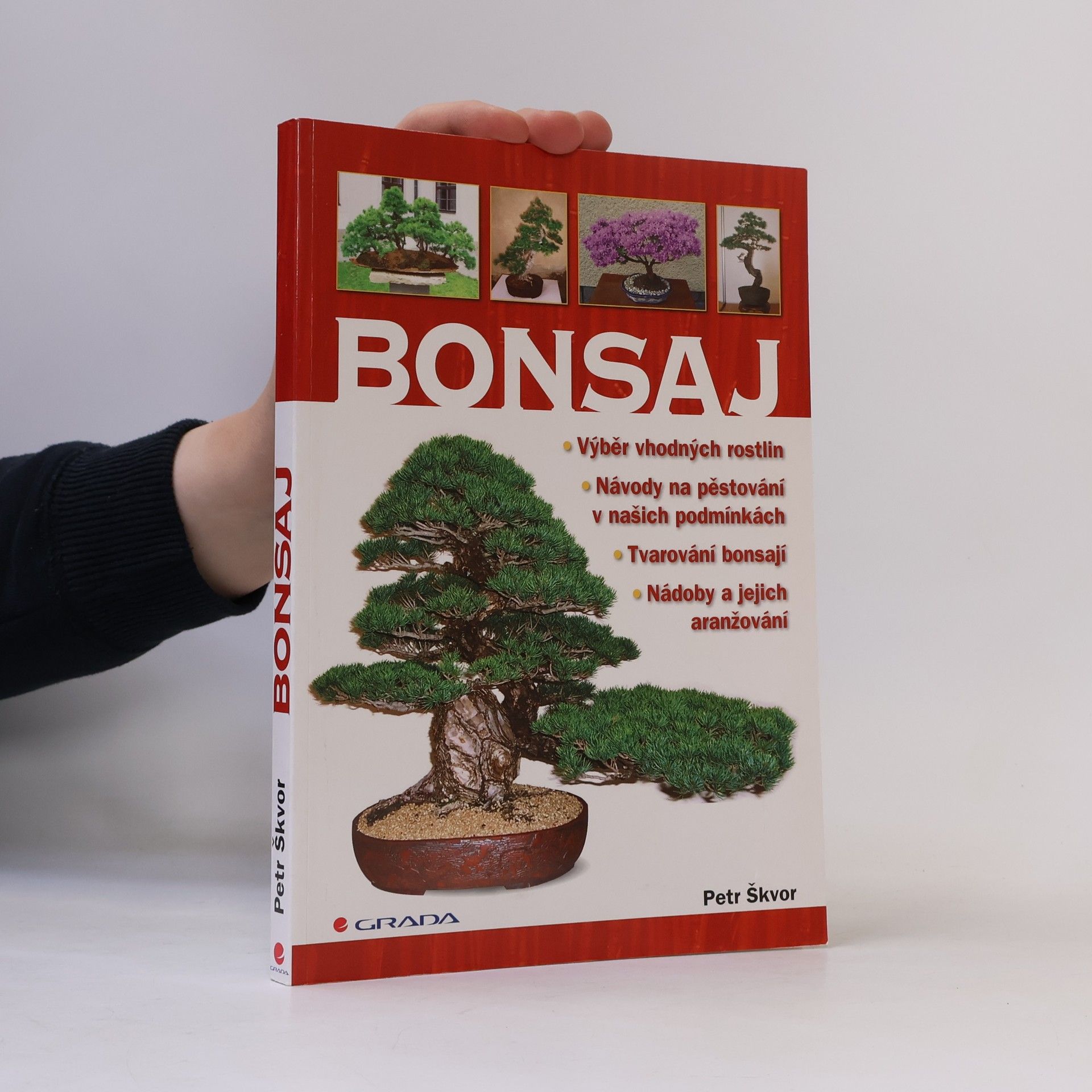 Petr Škvor Bonsaj