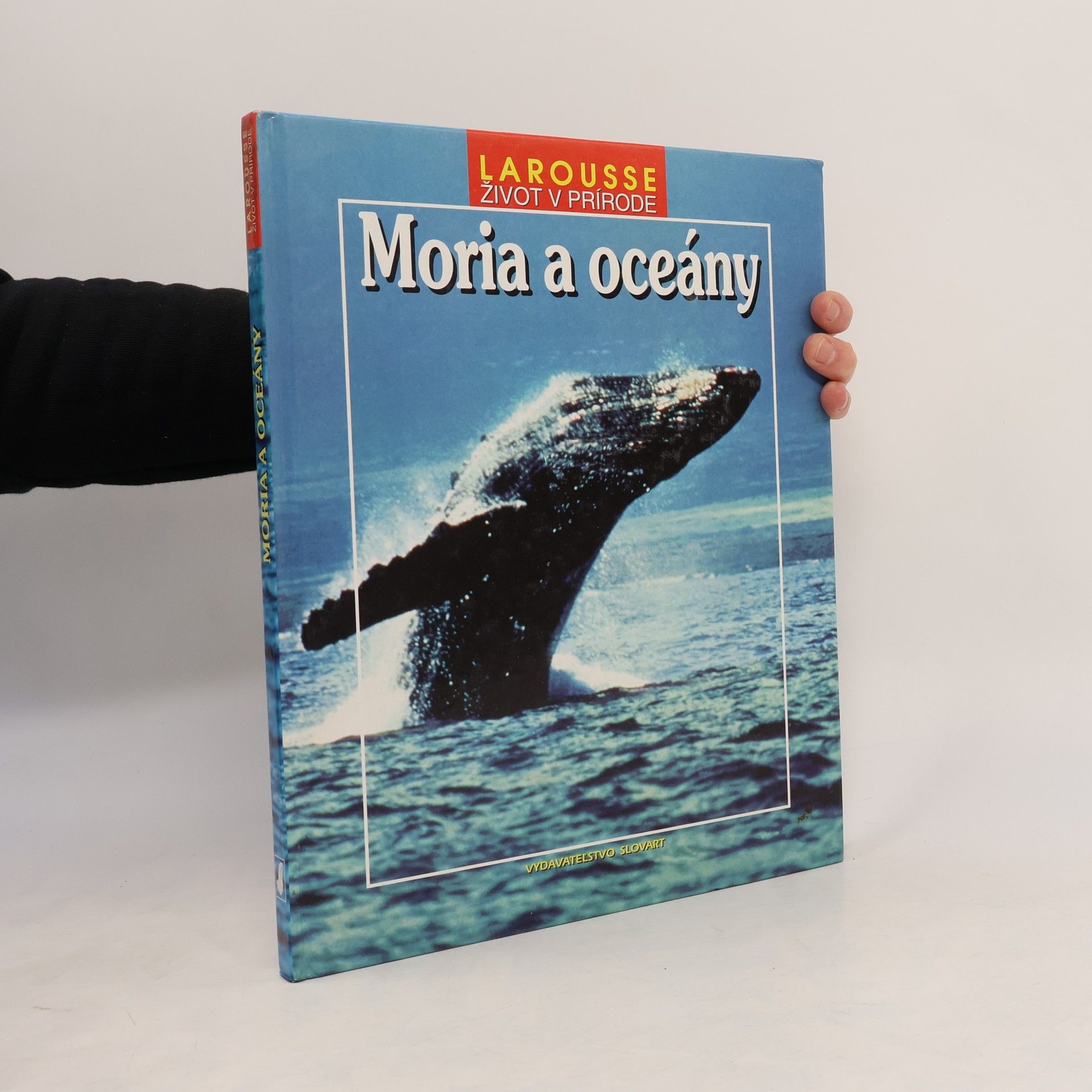 Autorenkollektiv Moria a oceány
