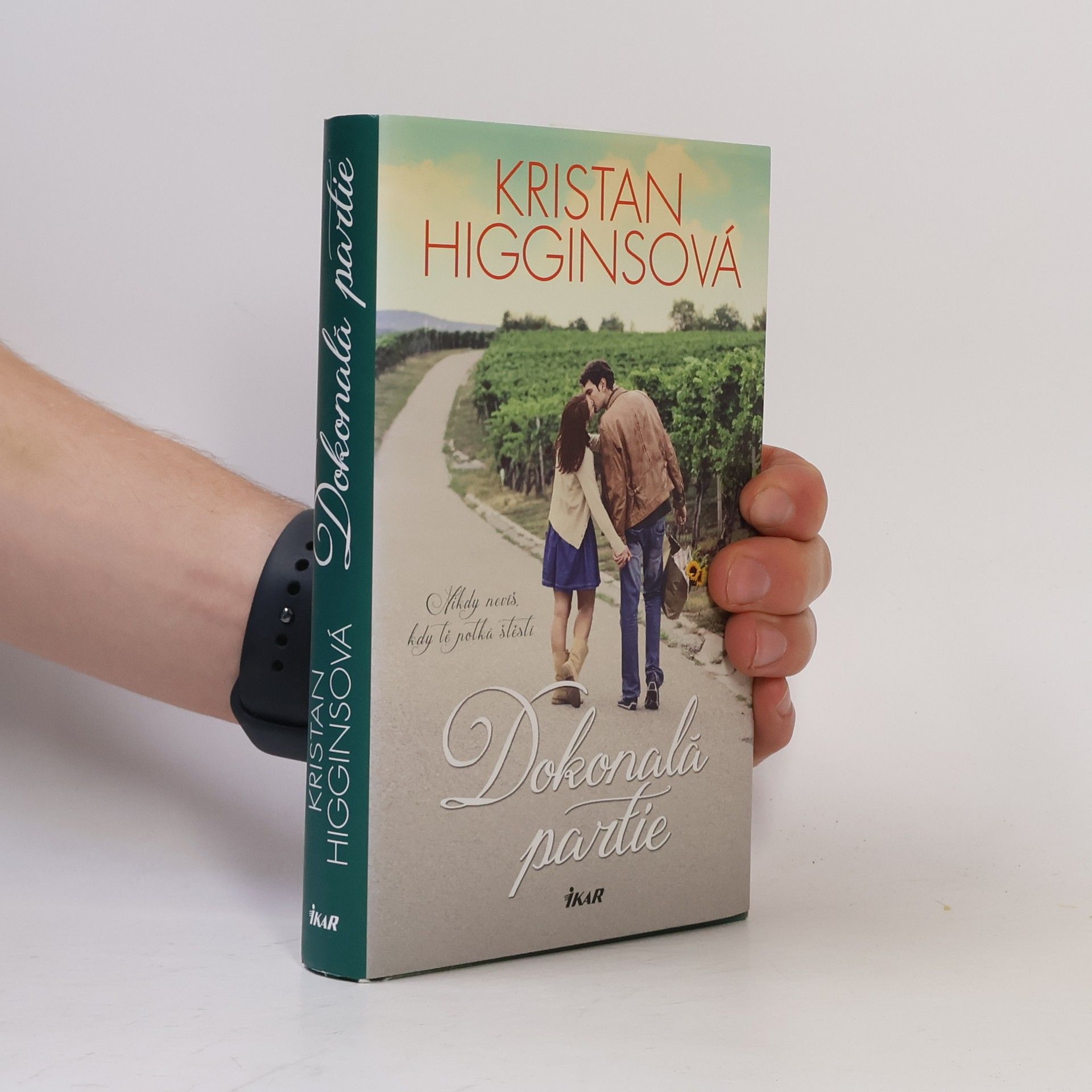 Kristan Higgins Dokonalá partie