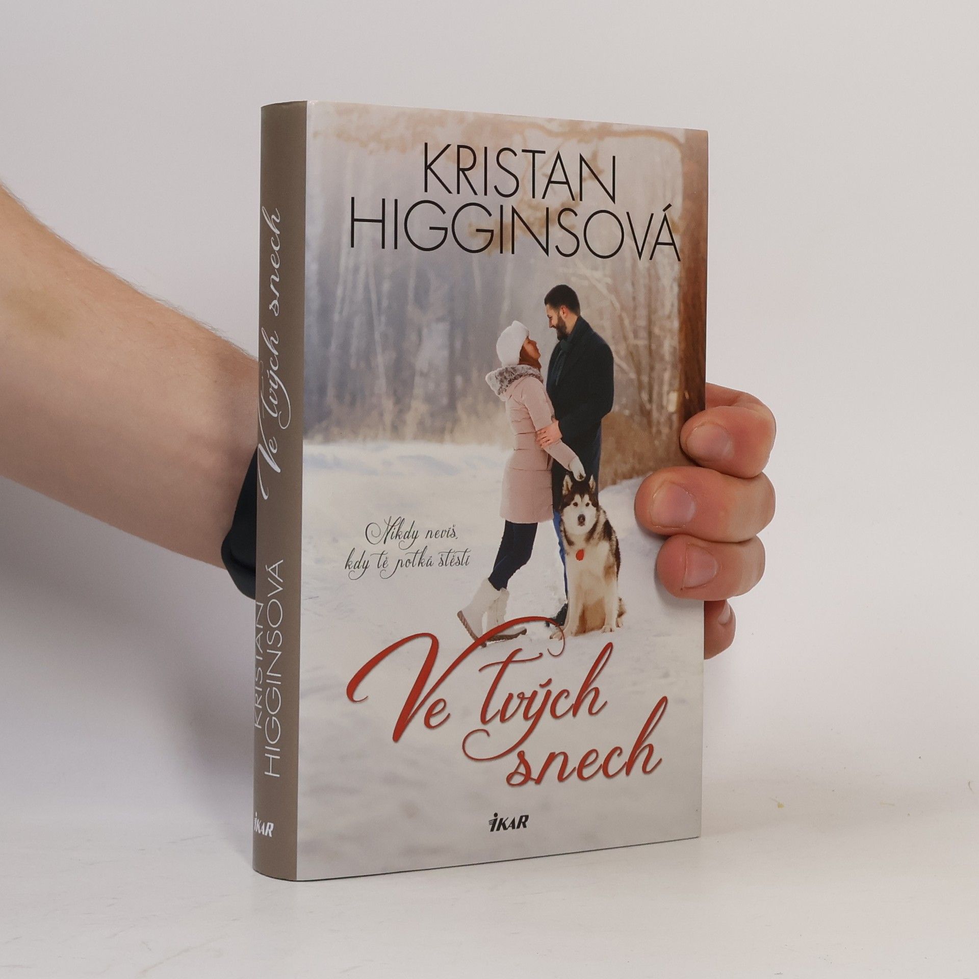 Kristan Higgins Ve tvých snech