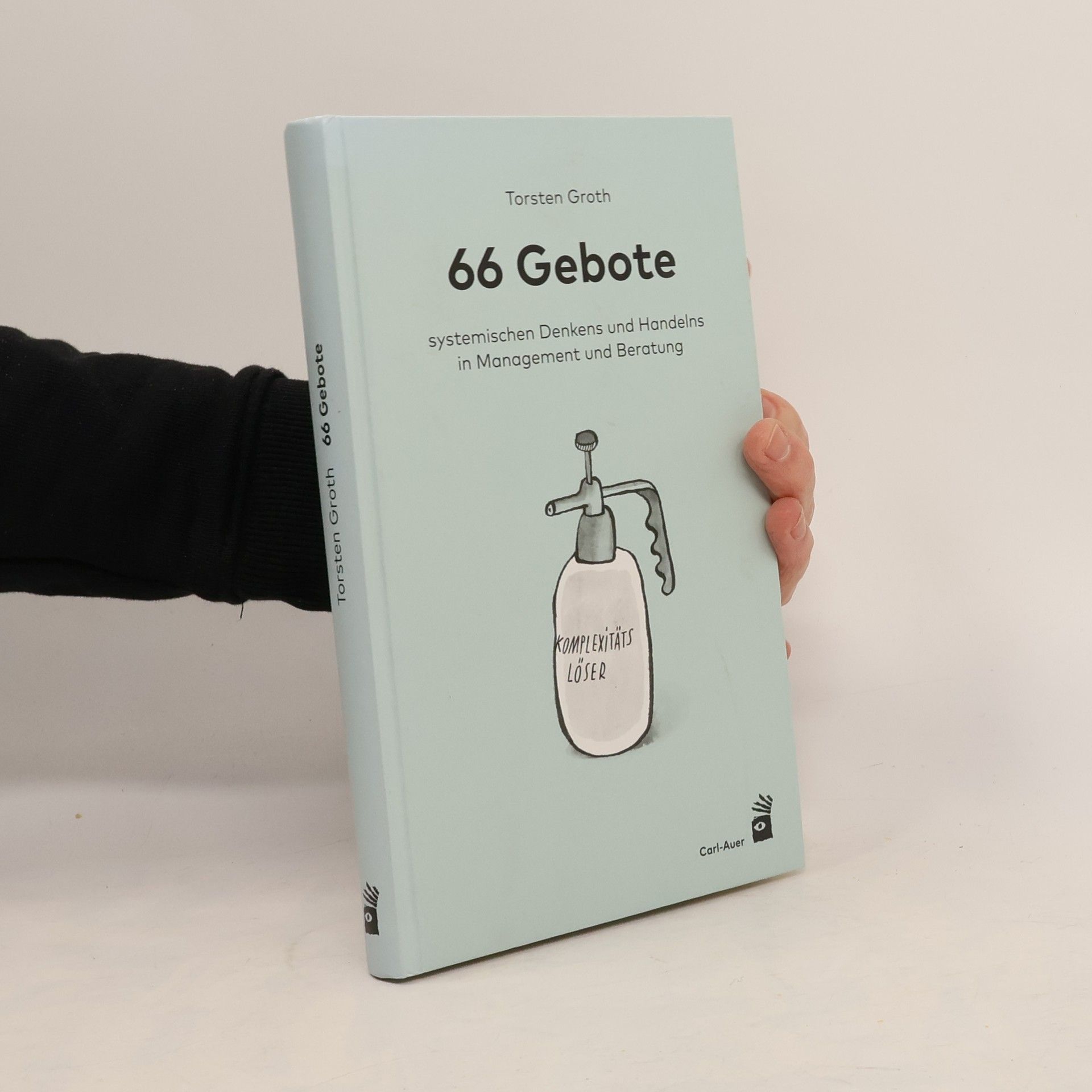66 Gebote systemischen Denkens und Handelns in Management und Beratung