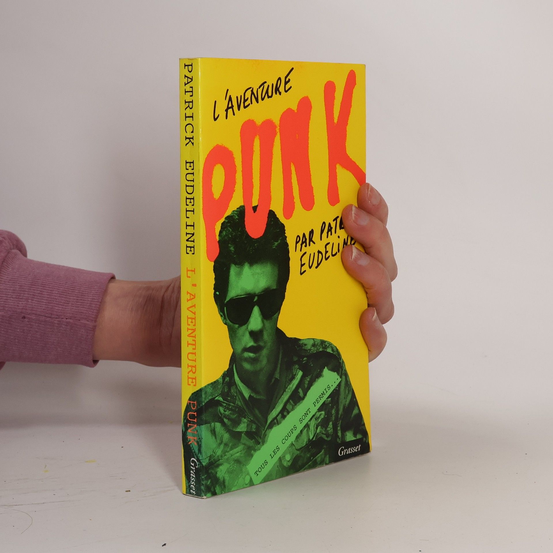 Patrick Eudeline L'aventure Punk