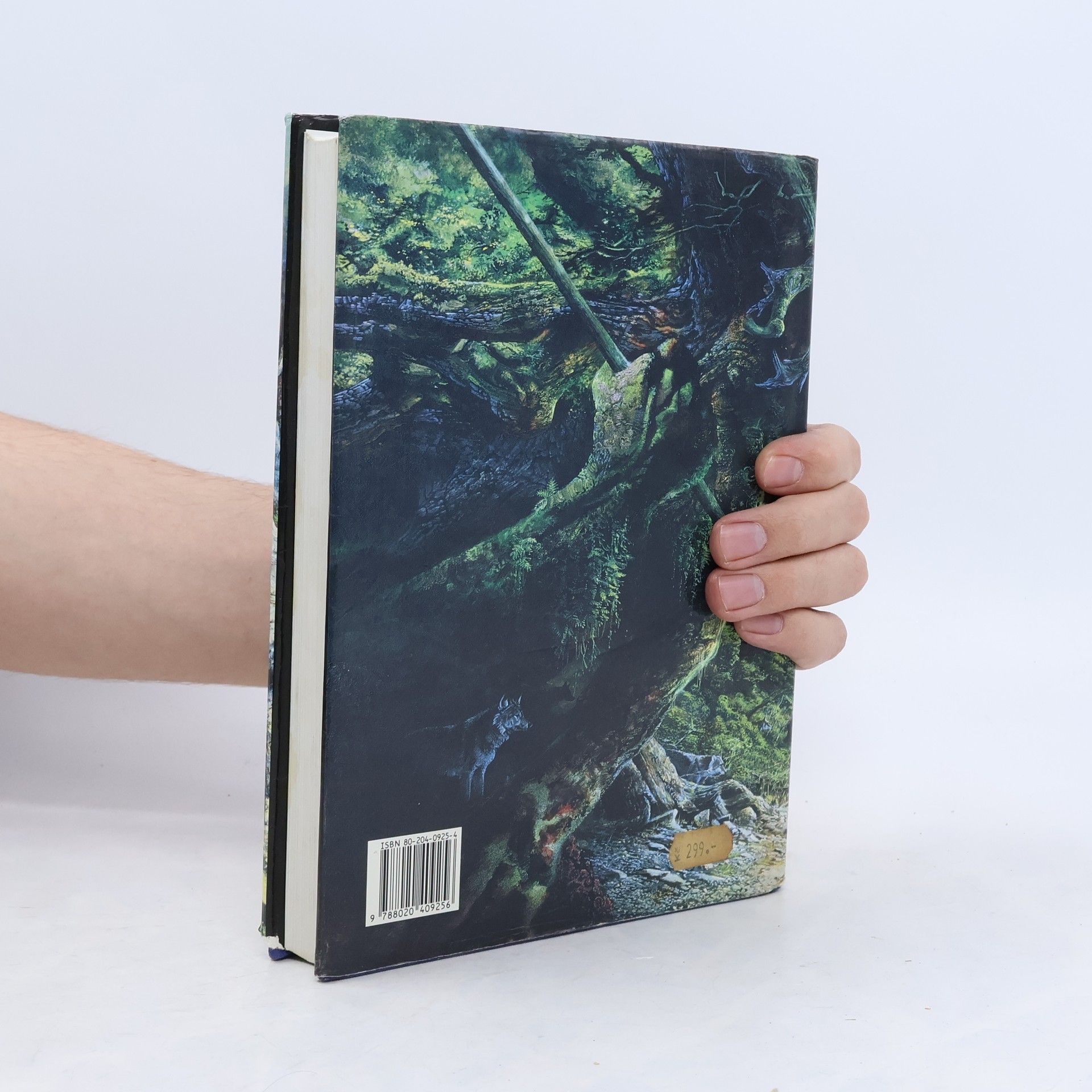 J. R. R. Tolkien Pán prstenů. Společenstvo Prstenu