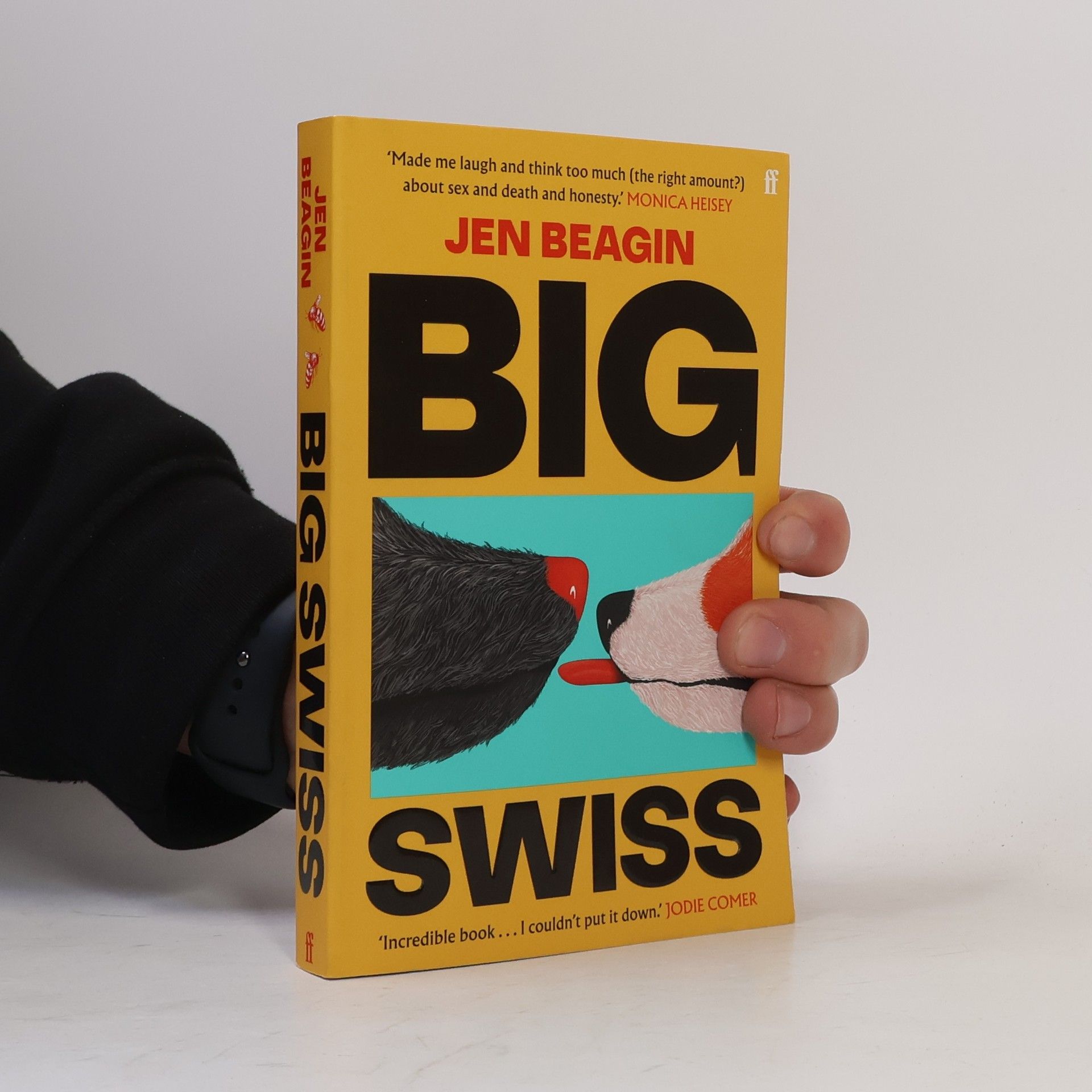 Jen Beagin Big Swiss