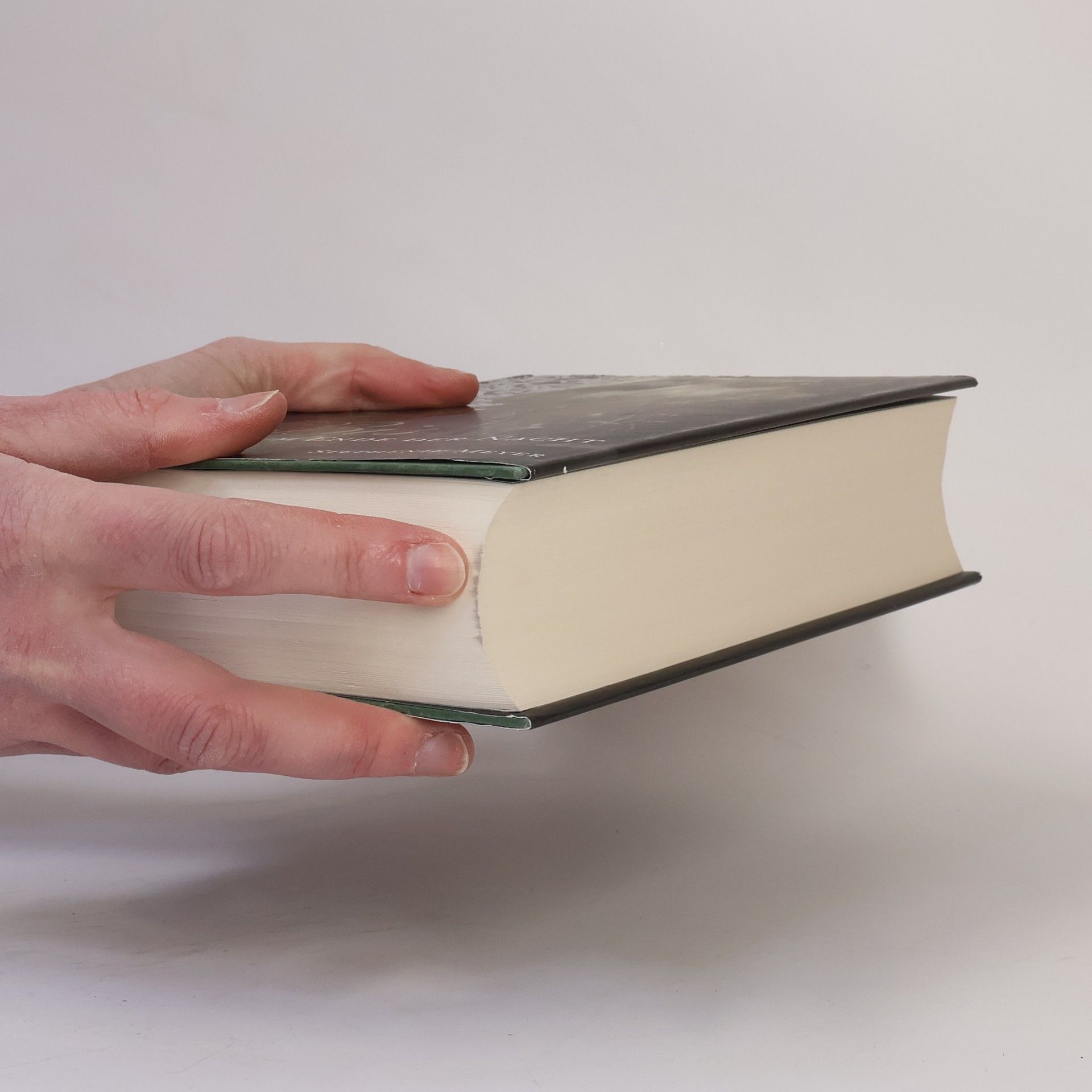 Stephenie Meyer Biss zum Ende der Nacht