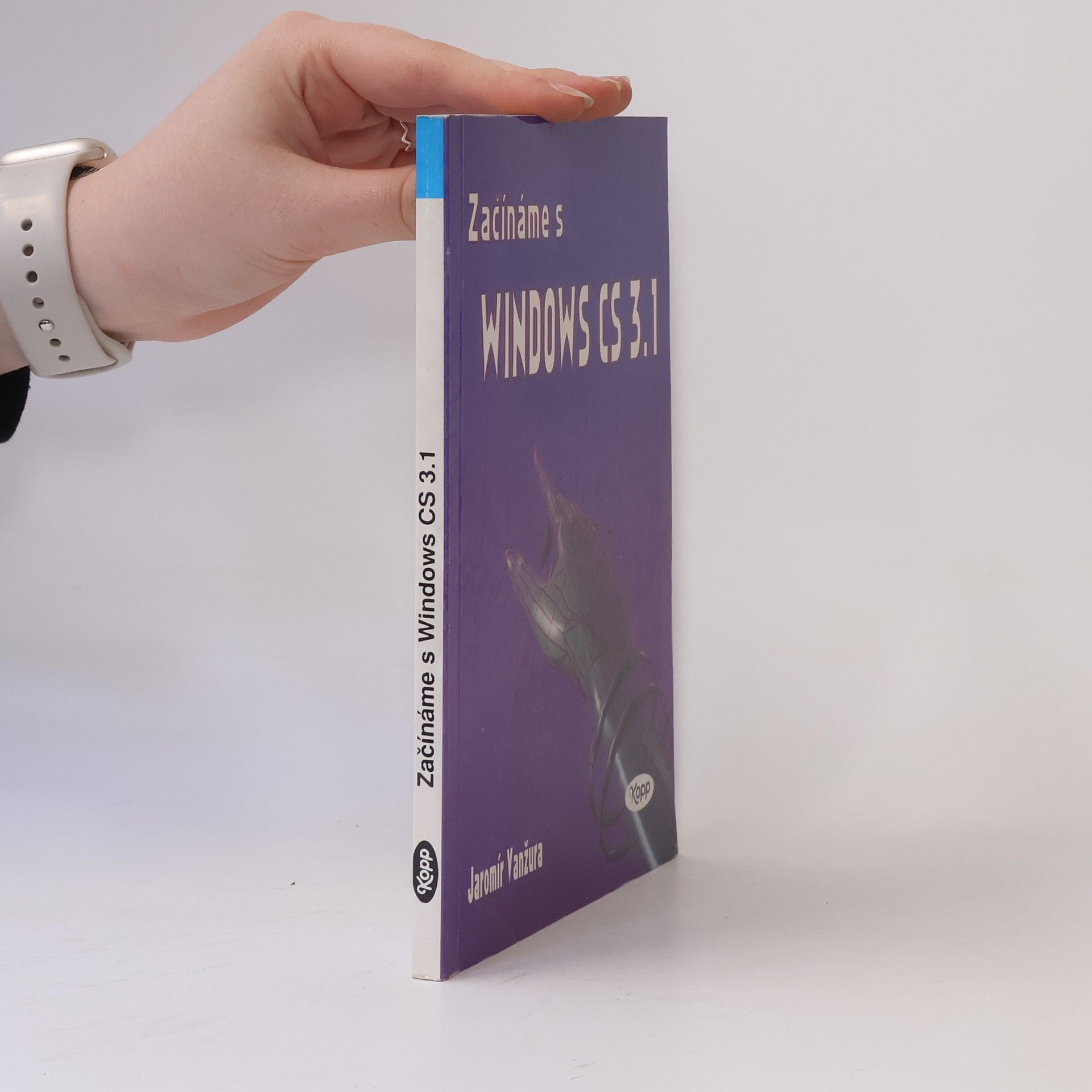 Jaromír Vanžura Začínáme s Windows 3.1 CZ