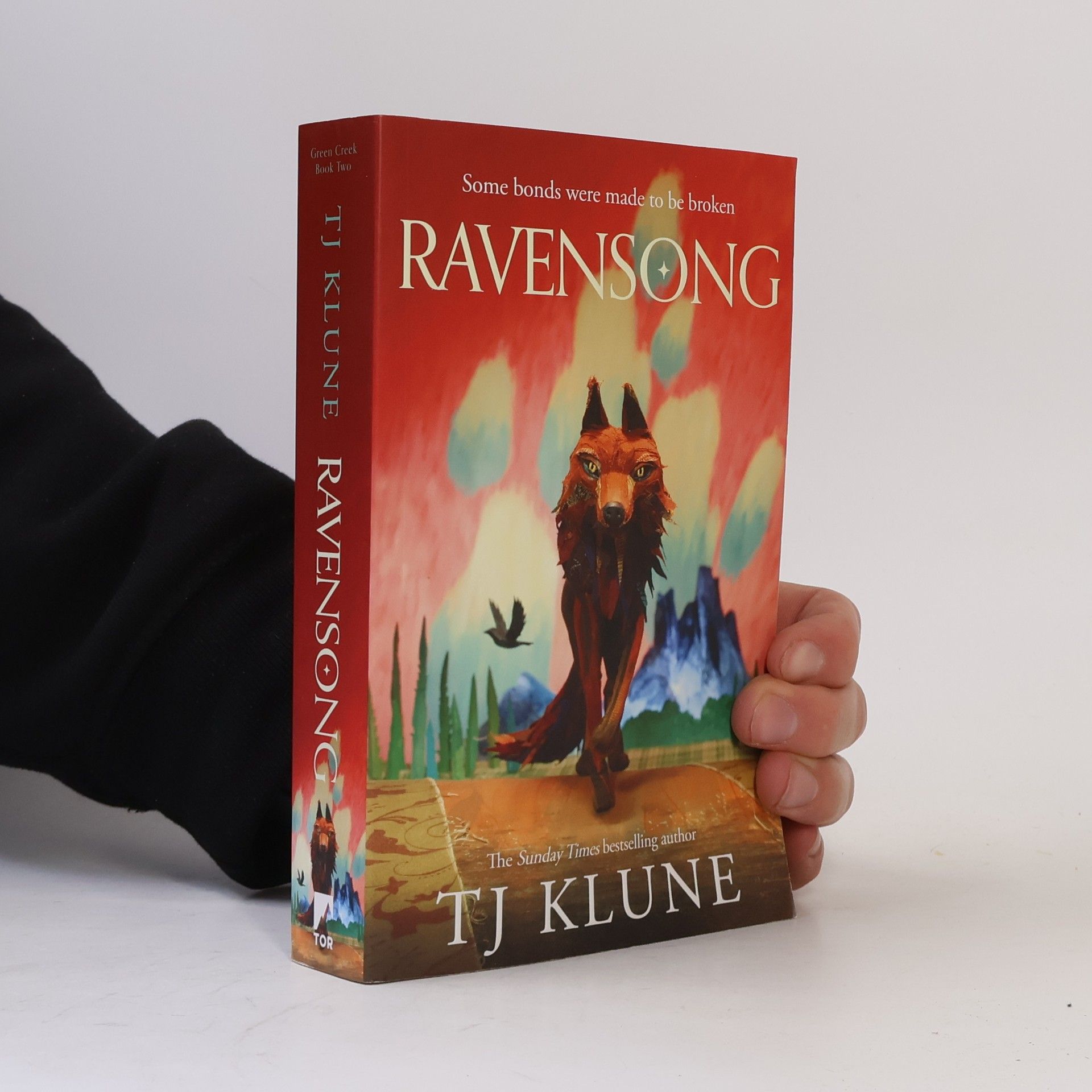 Ravensong: A heart-rending werewolf shifter romance from No. 1 Sunday Times bestselling author TJ Klune