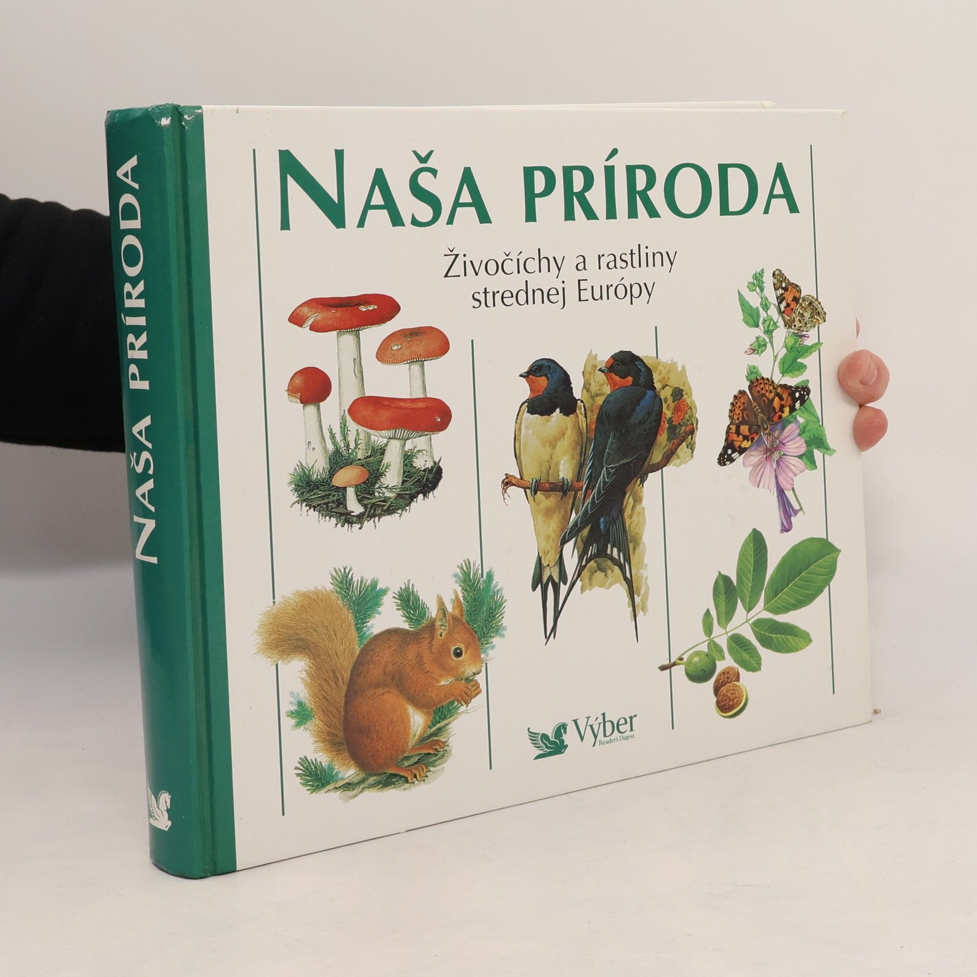 Autorenkollektiv Naša príroda