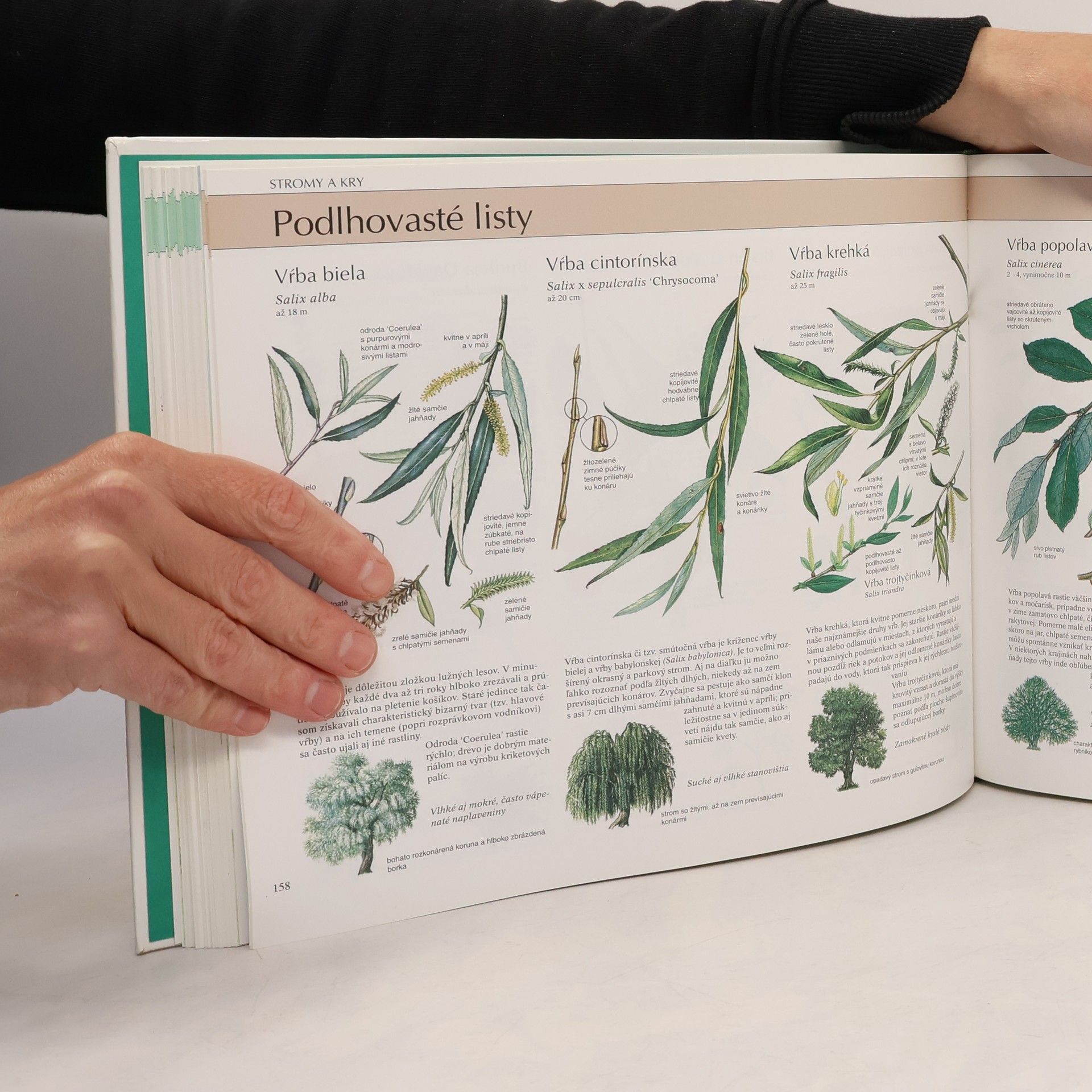 Various authors Naša príroda