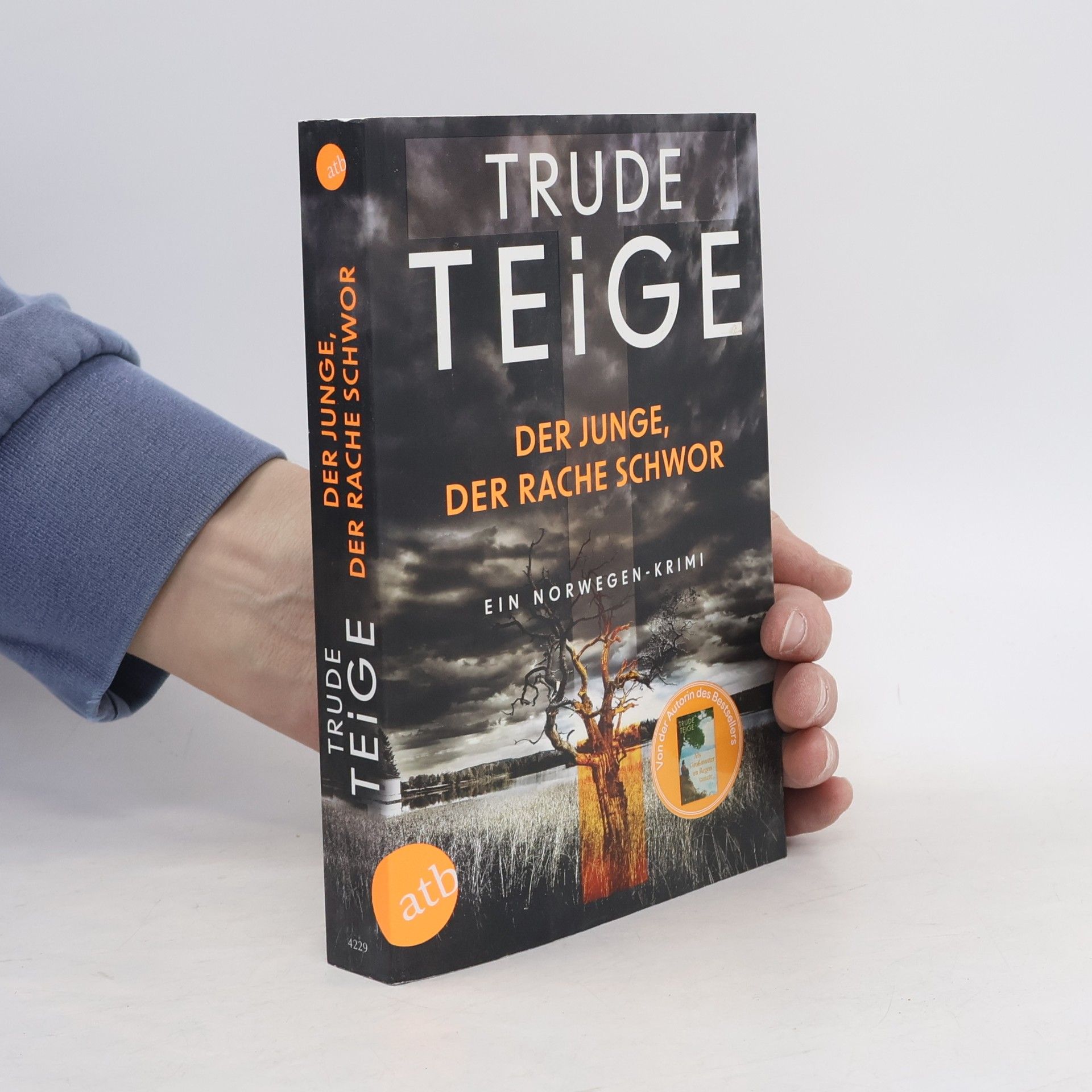 Trude Teige Der Junge, der Rache schwor
