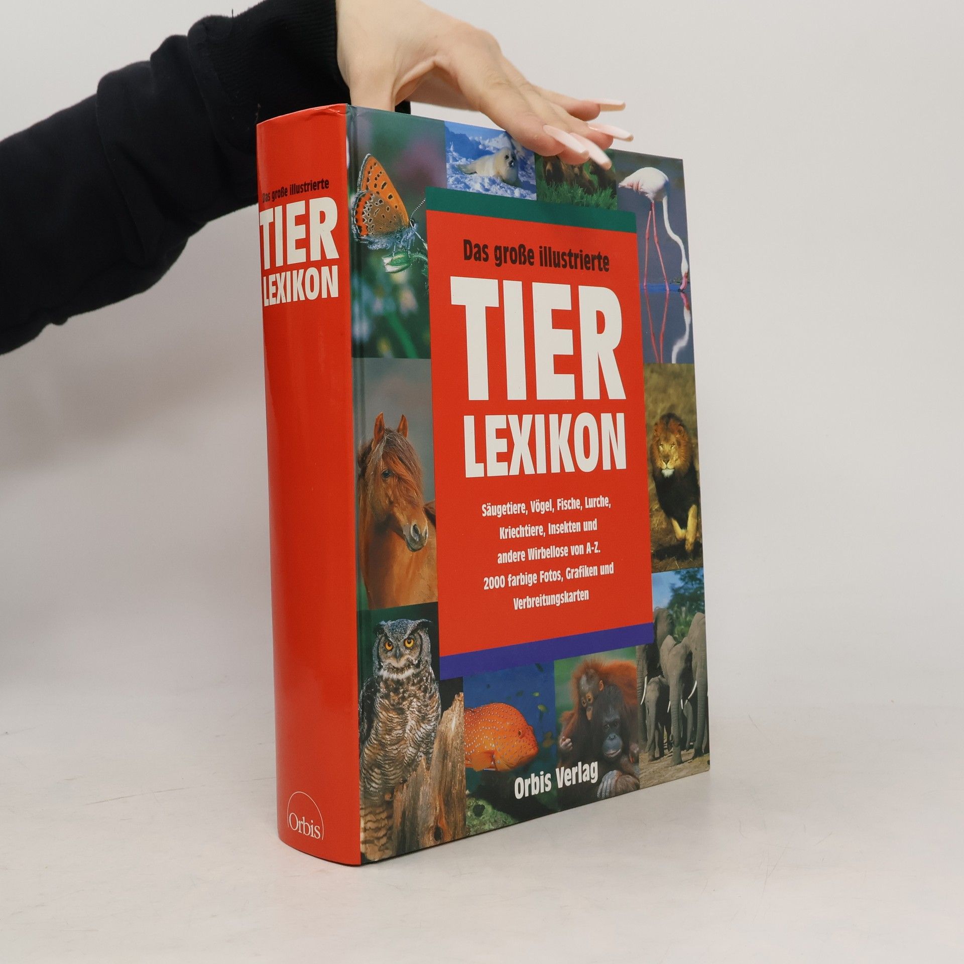 Autores varios Da große illustrierte Tier Lexikon