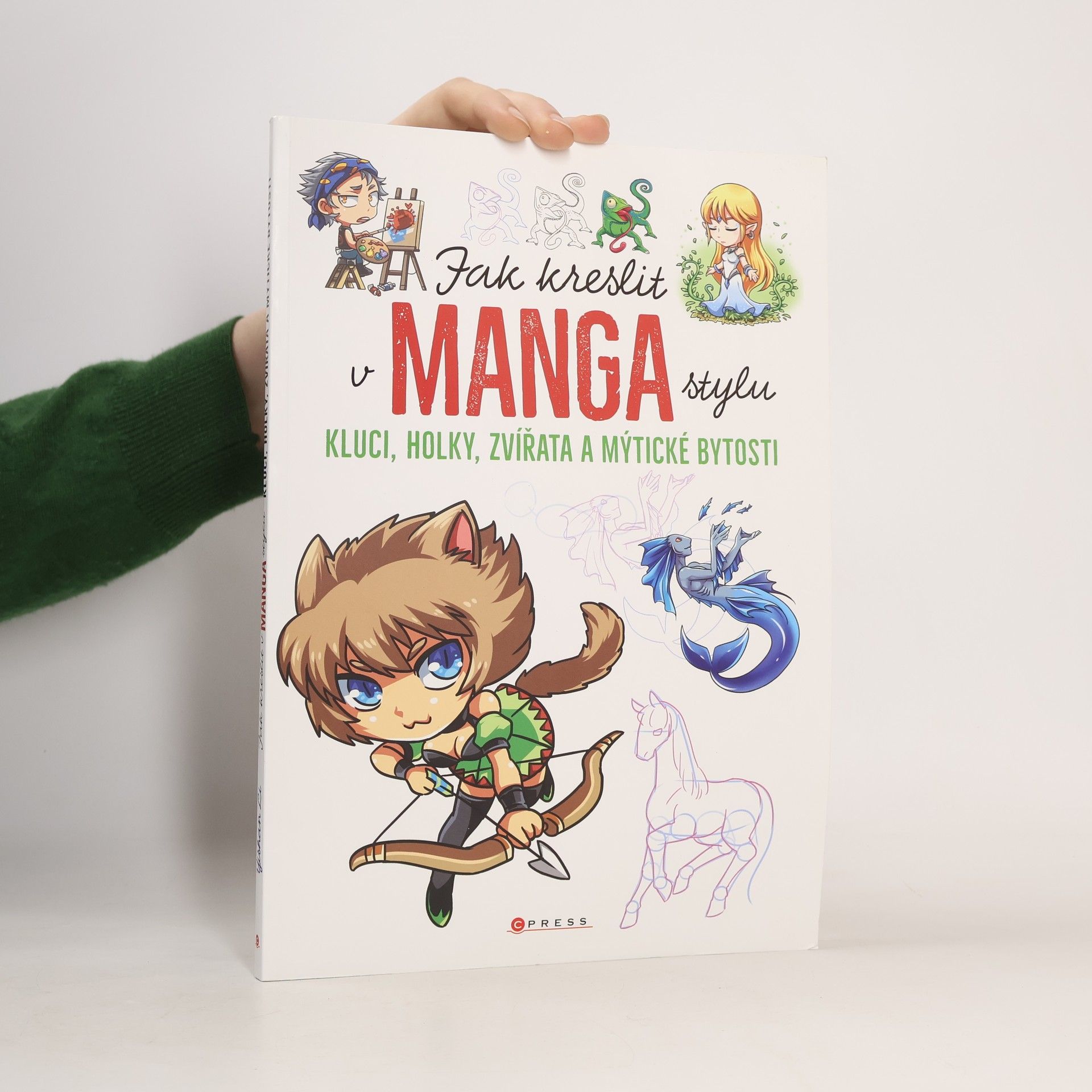 Yishan Li Jak kreslit v manga stylu: Kluci, holky, zvířata a mýtické bytosti