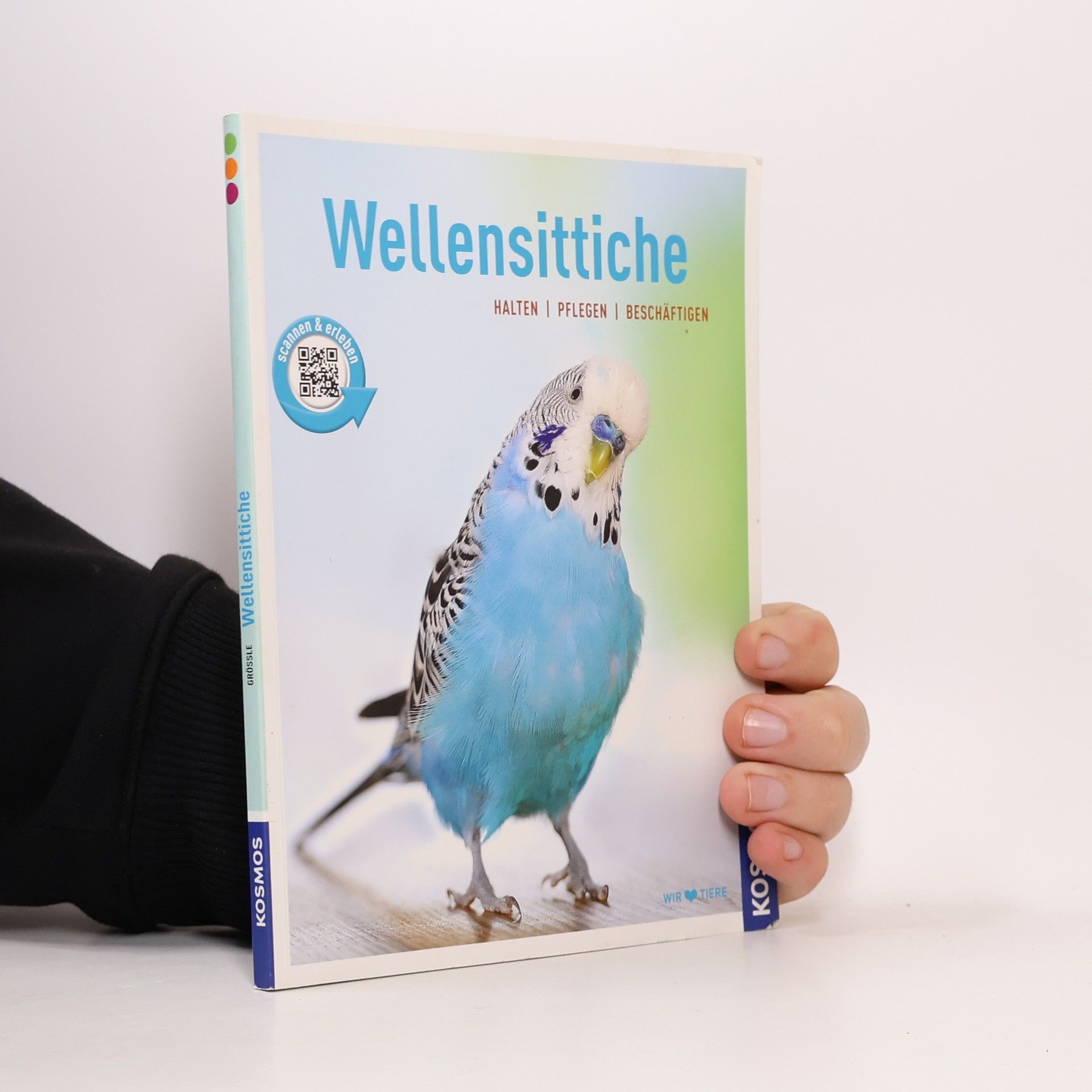 Bernhard Größle Wellensittiche