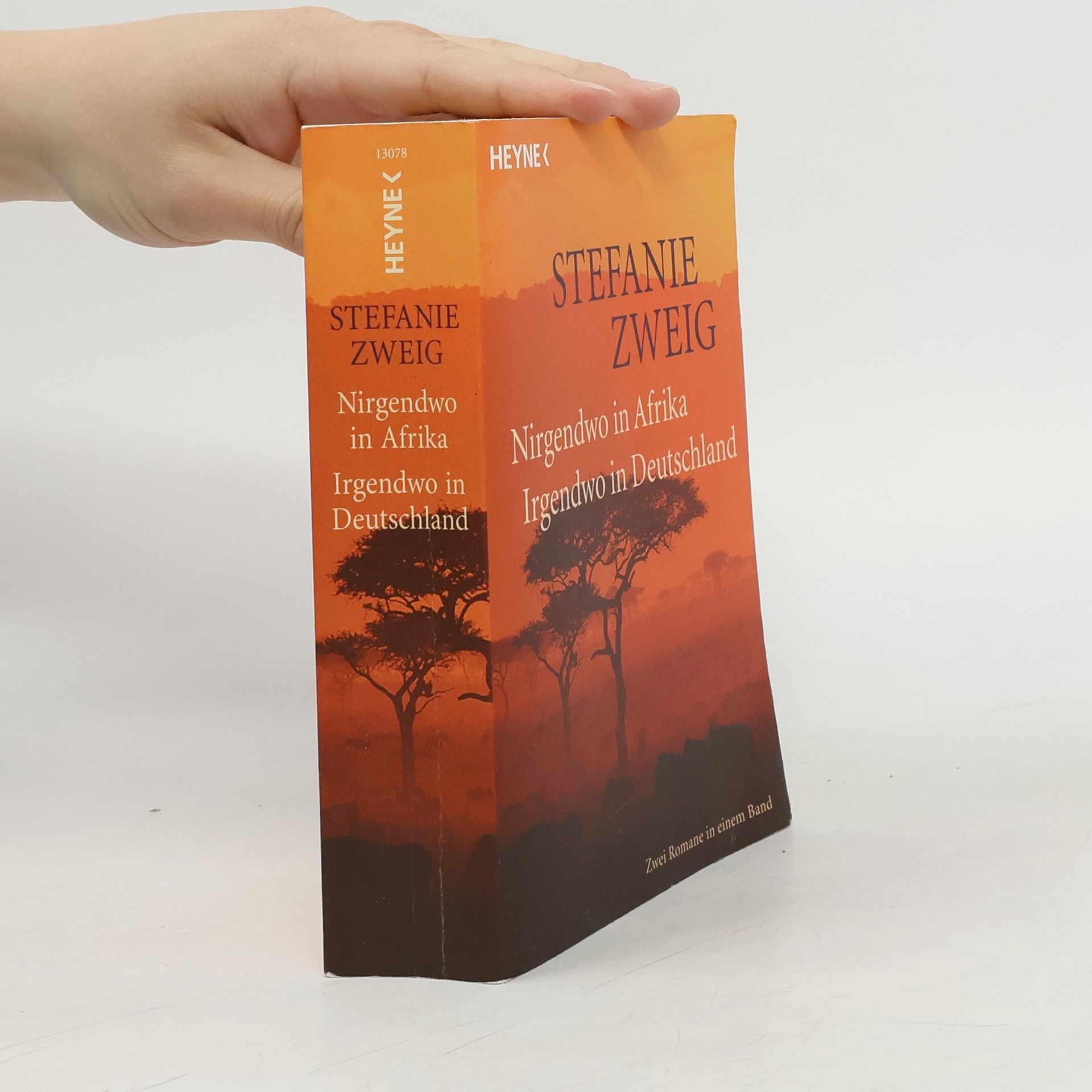 Stefanie Zweig Nirgendwo in Afrika