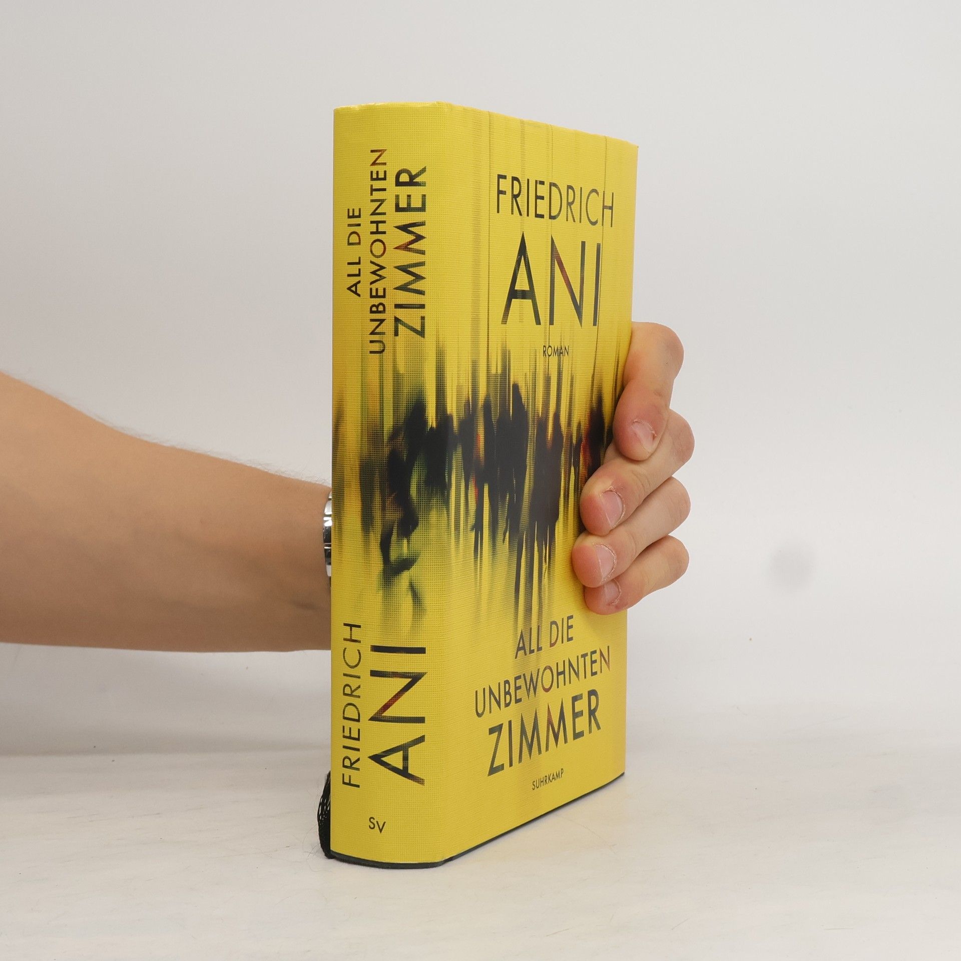 Friedrich Ani All die unbewohnten Zimmer