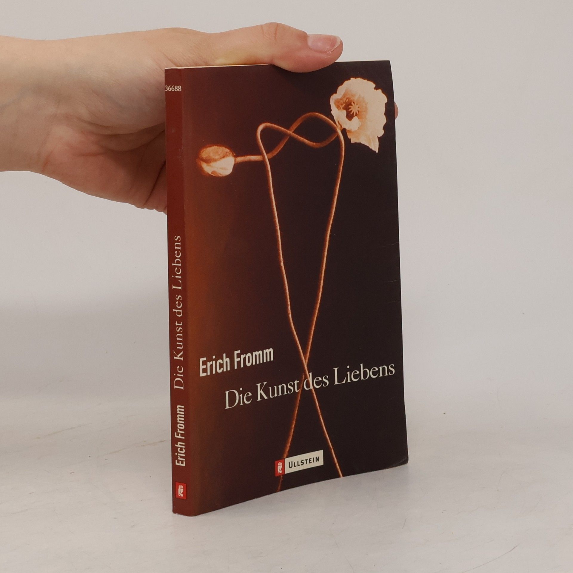 Erich Fromm Die Kunst des Liebens