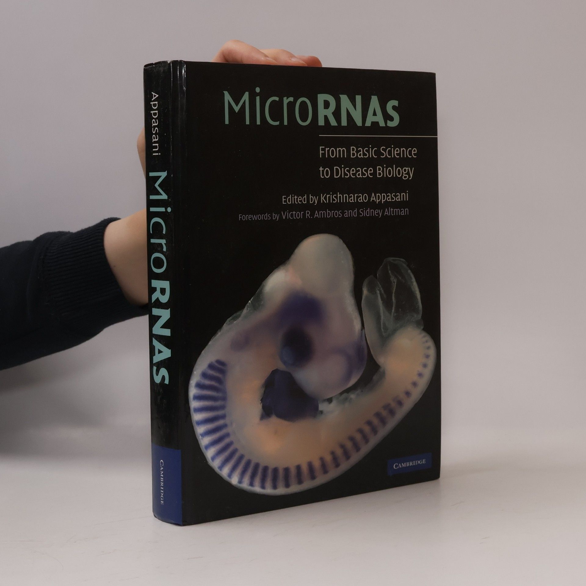 Victor R. Ambros MicroRNAs