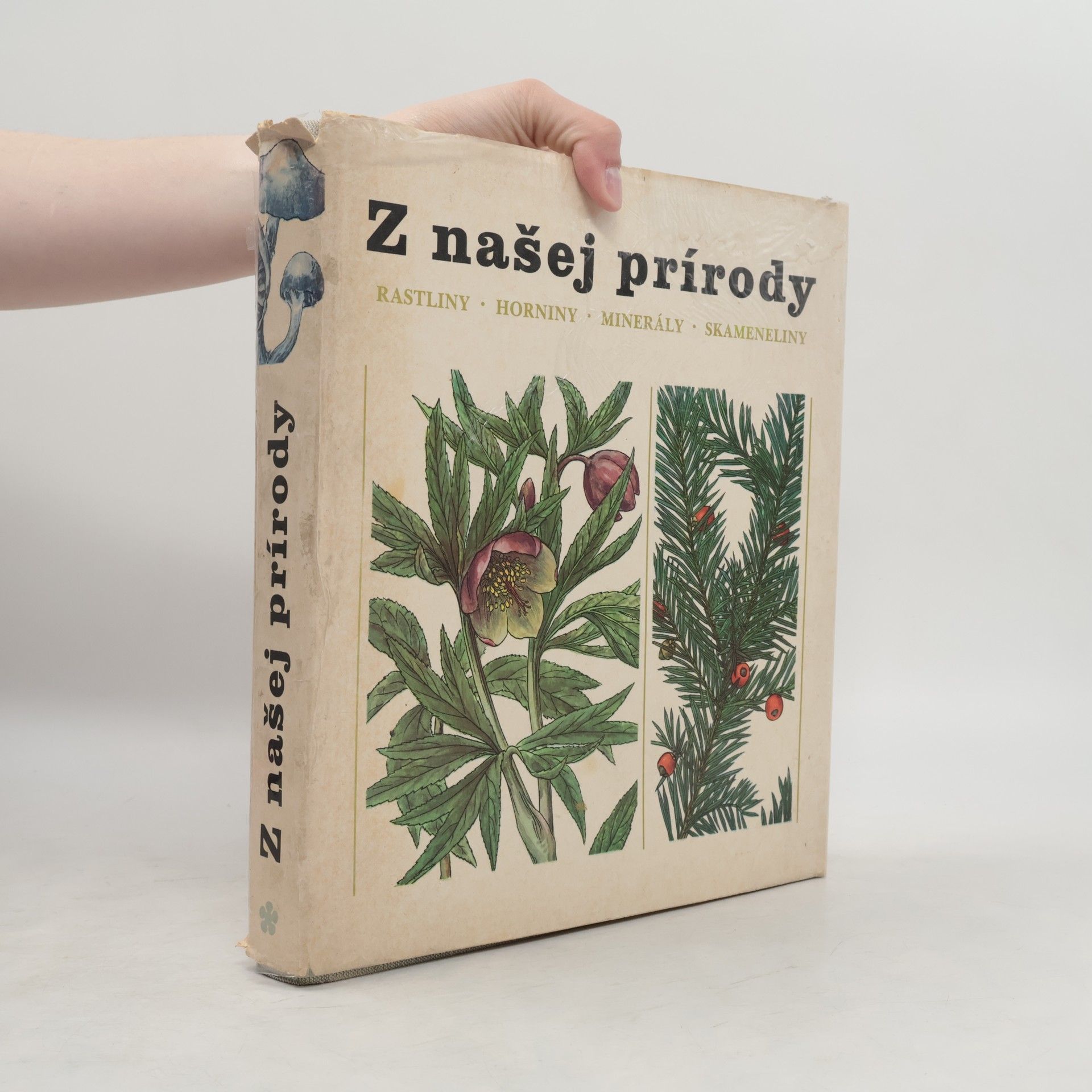 Z našej prírody