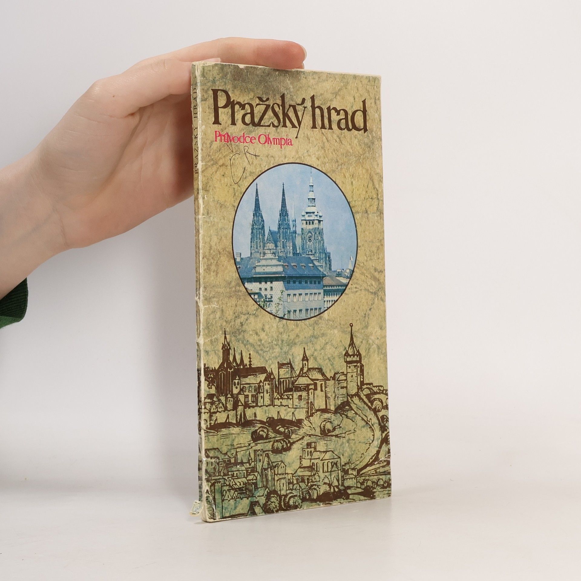 Kolektiv autorů Pražský hrad