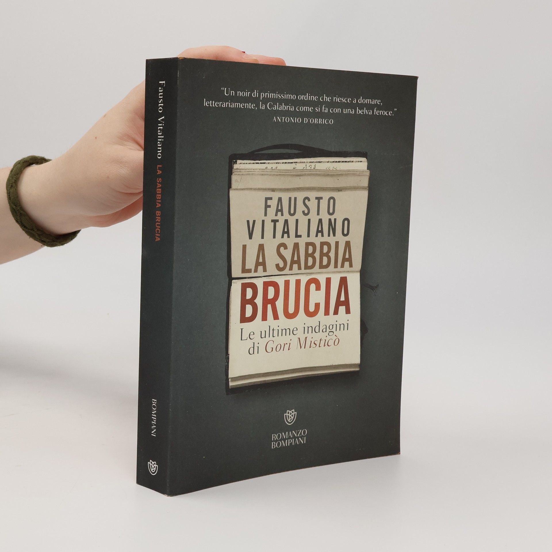 Fausto Vitaliano La sabbia brucia. Le ultime indagini di Gori Misticò