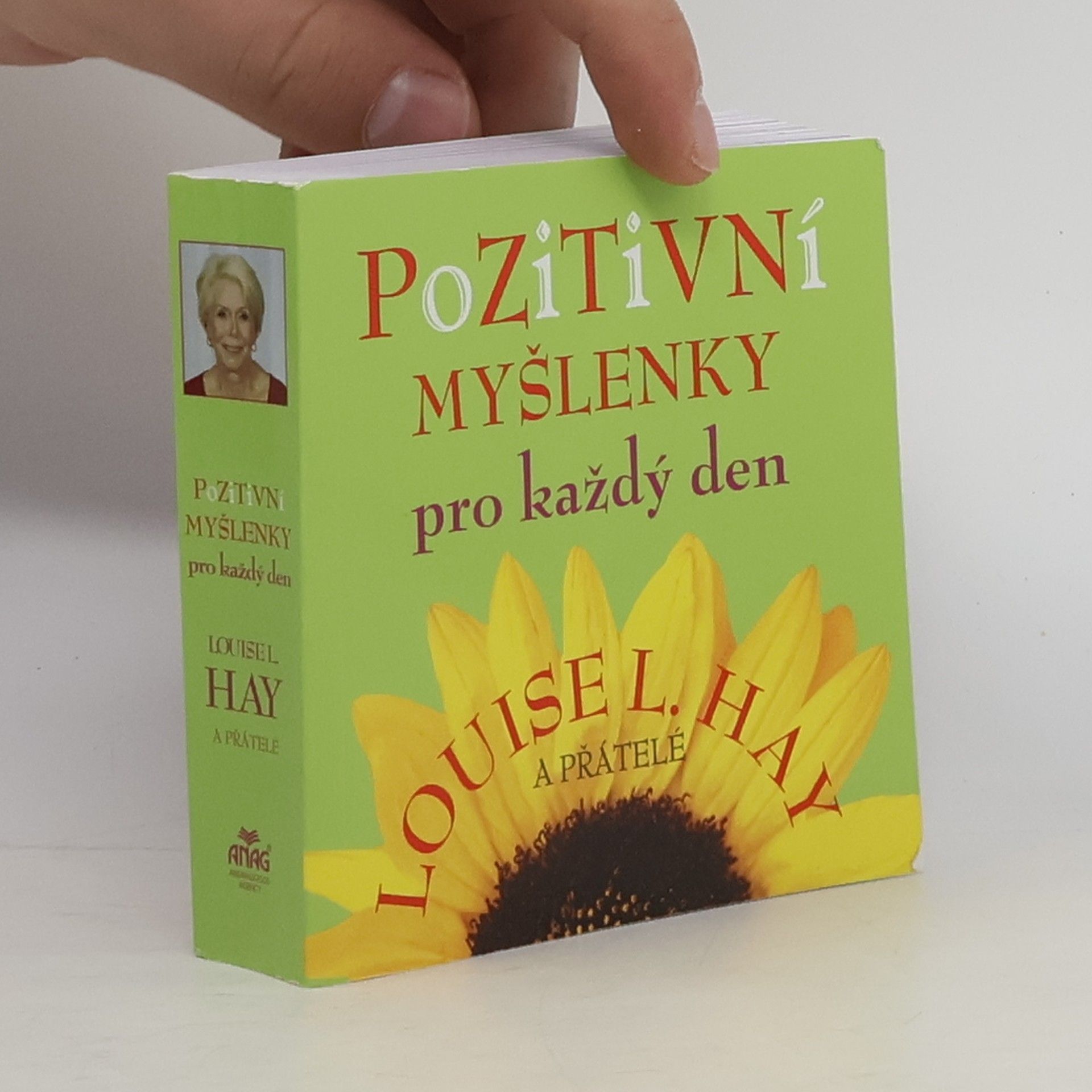 Louise Lynn Hay Pozitivní myšlenky pro každý den