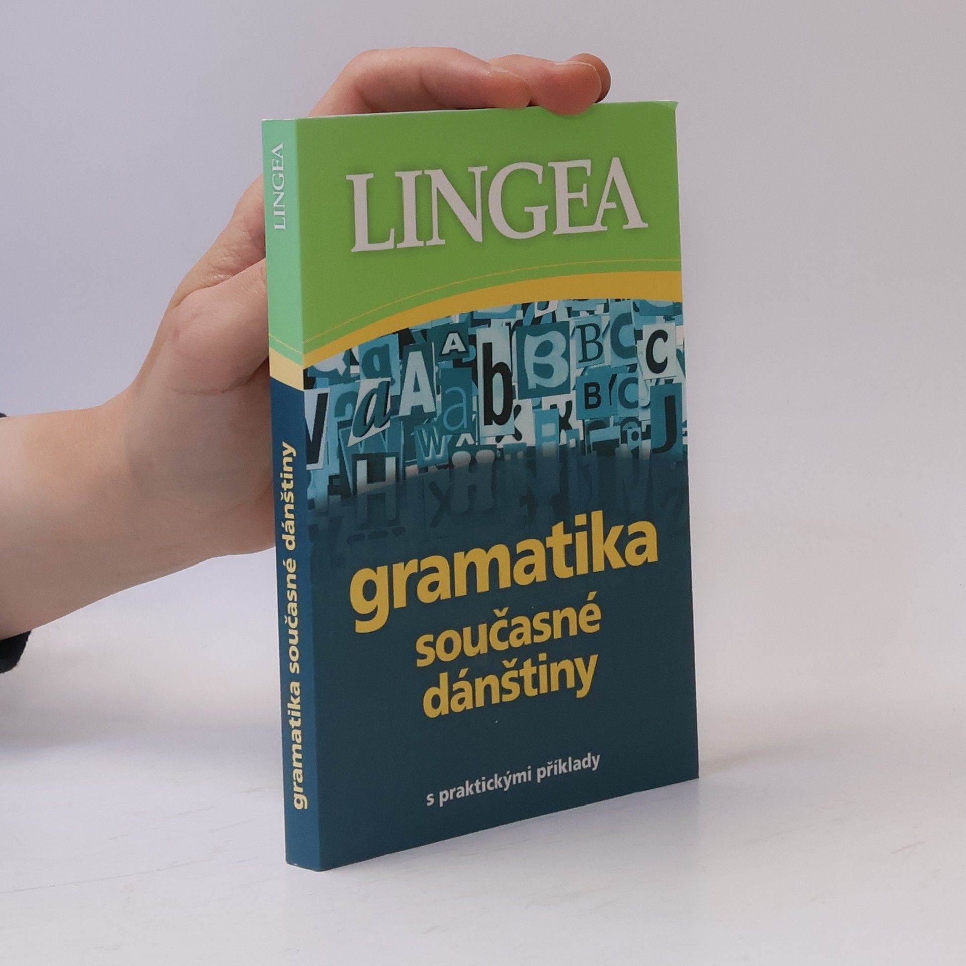 Kolektiv autorů Gramatika současné dánštiny