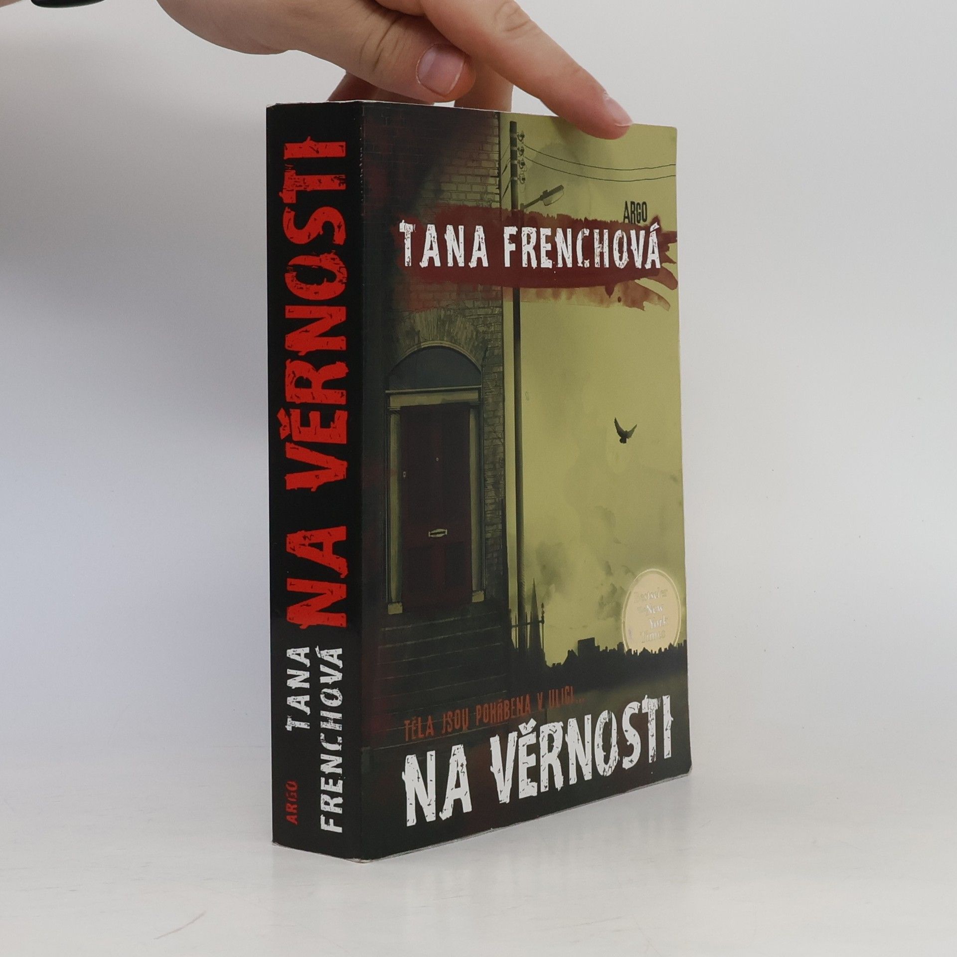 Tana French Na Věrnosti