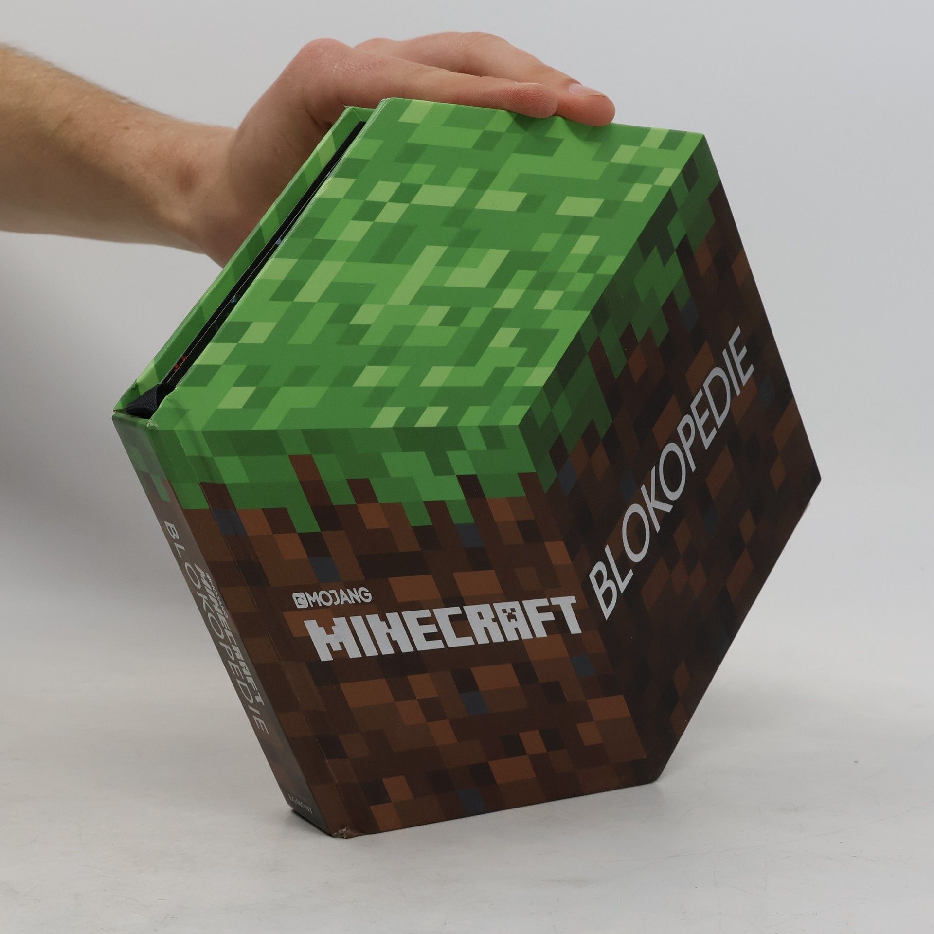 Mojang Minecraft Blokopedie