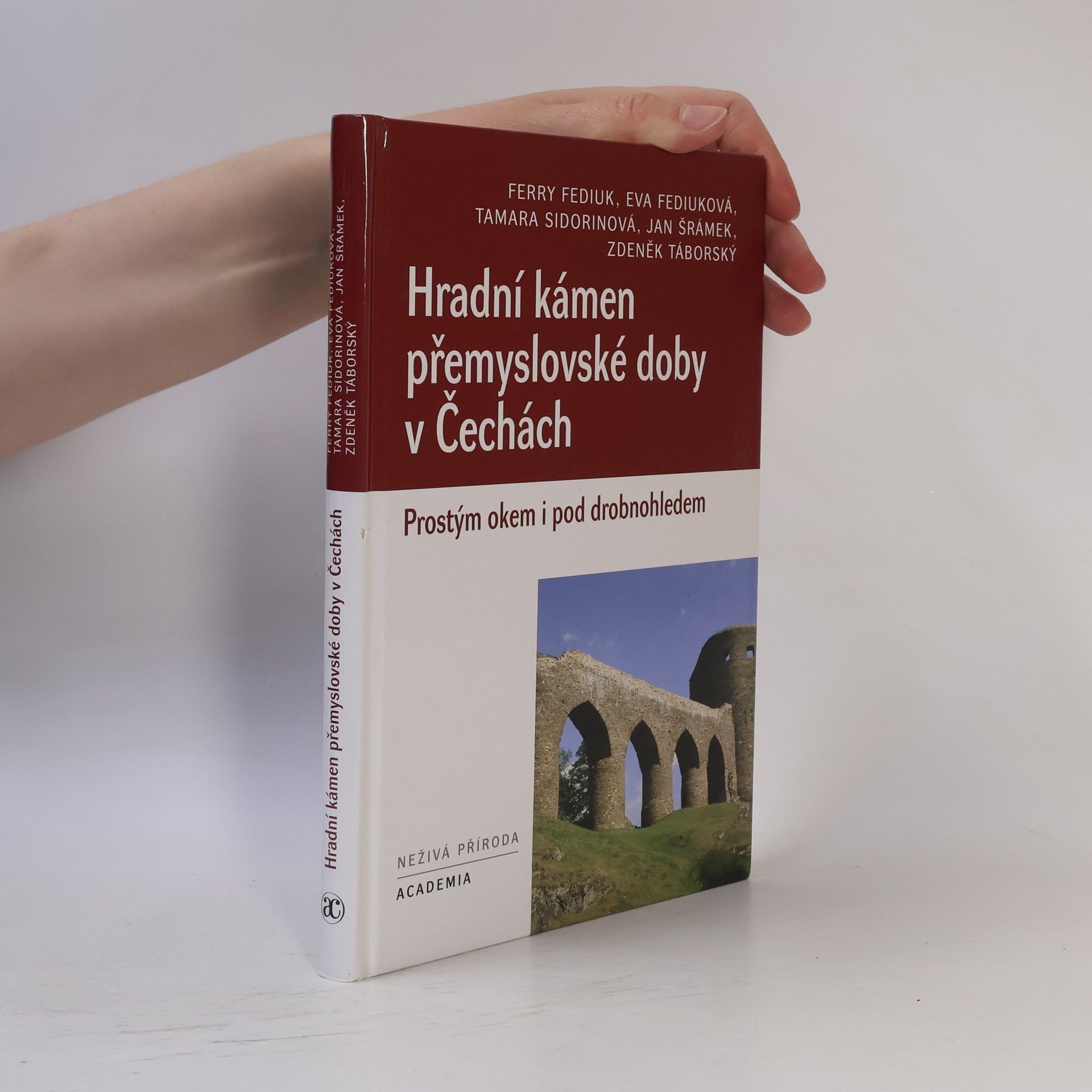 František Fediuk Hradní kámen přemyslovské doby v Čechách