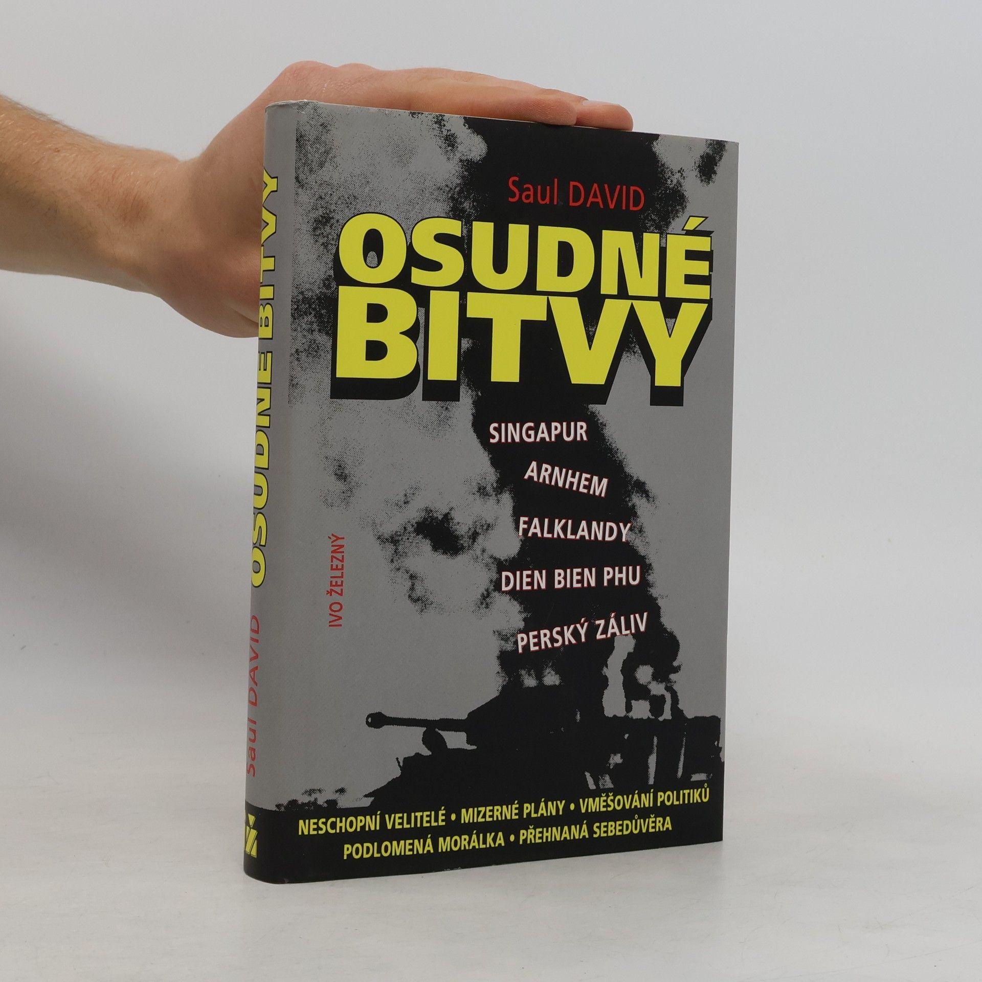 Saul David Osudné bitvy