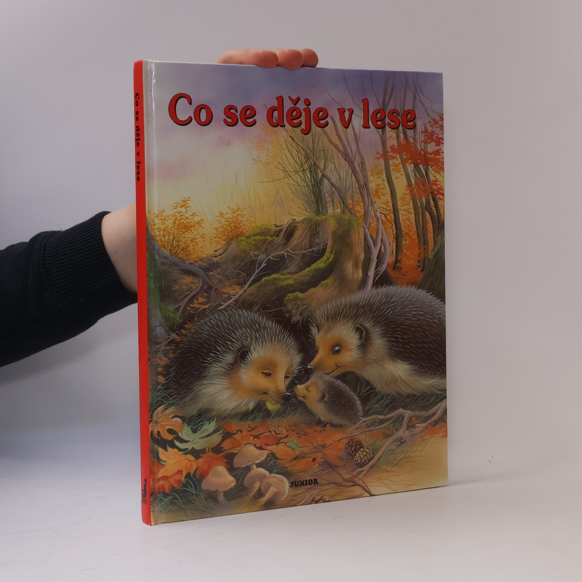 Dana Winkler Co se děje v lese