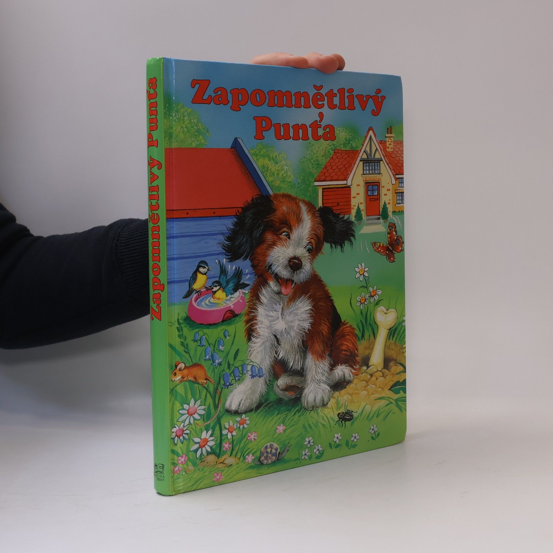 Elke Meinardus Zapomnětlivý Punťa