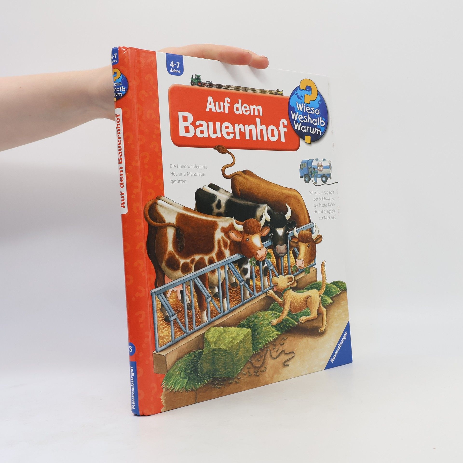 Constanza Droop Auf dem Bauernhof