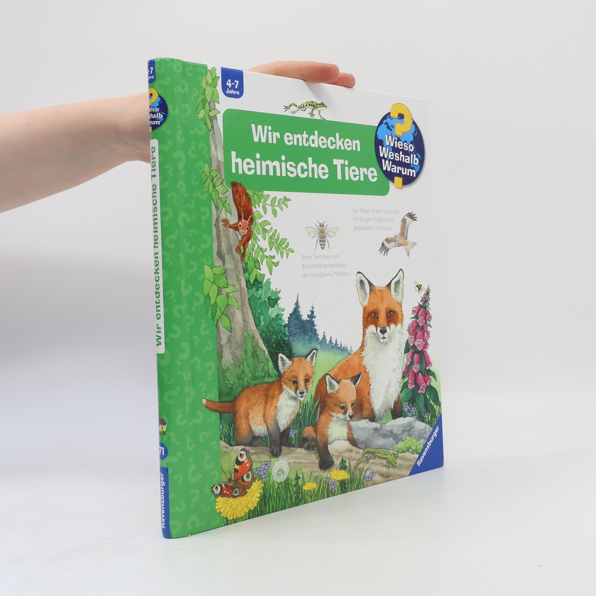 Wir entdecken heimische Tiere