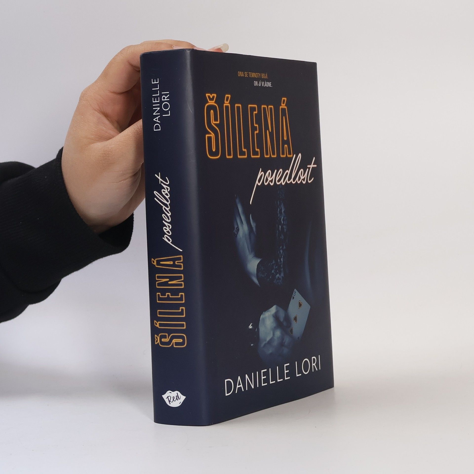 Danielle Lori Šílená posedlost