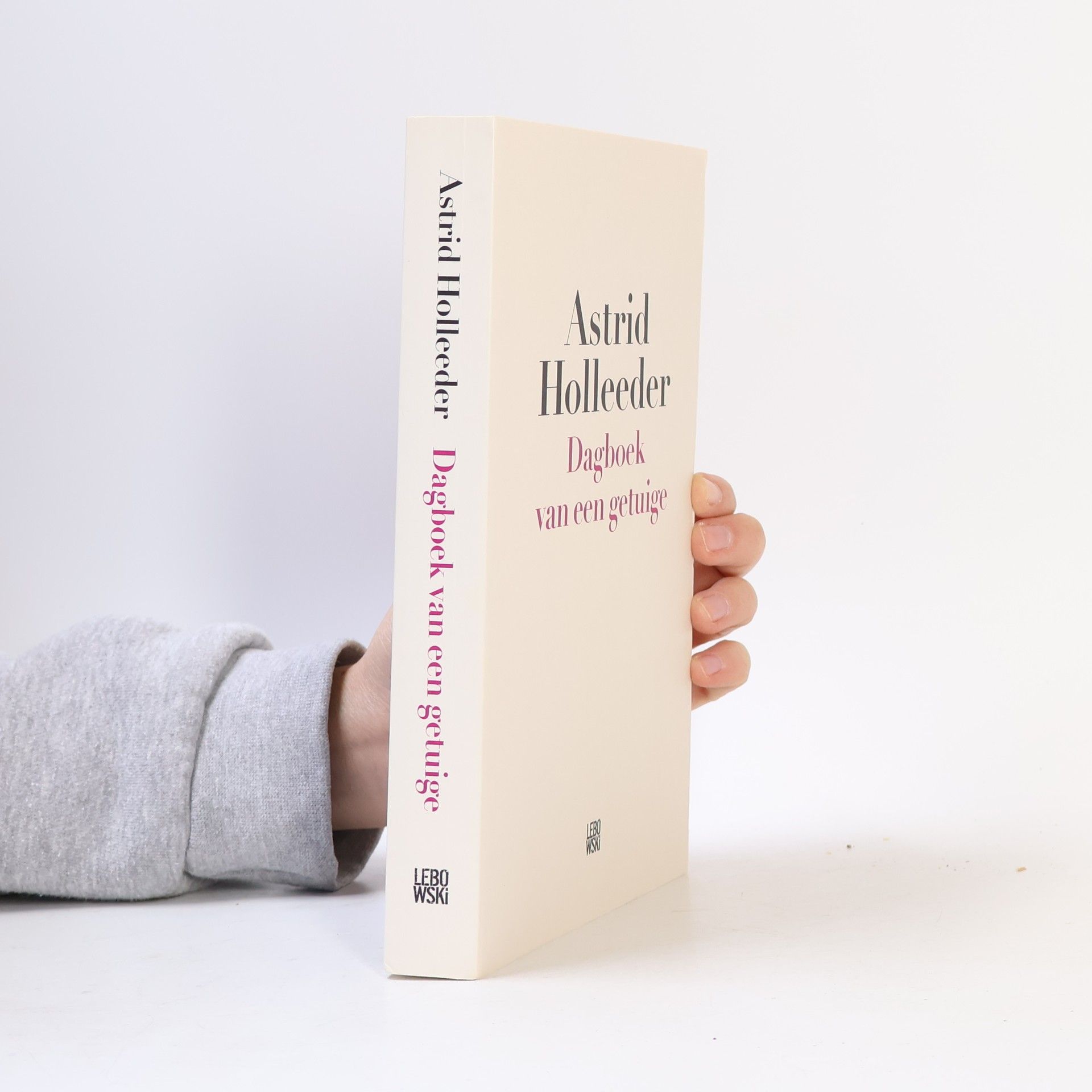 Astrid Holleeder Dagboek van een getuige