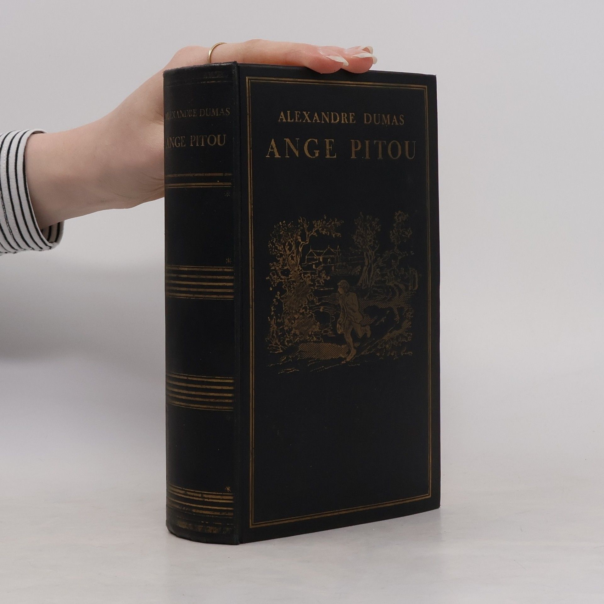 Alexandre Dumas der Ältere Ange Pitou