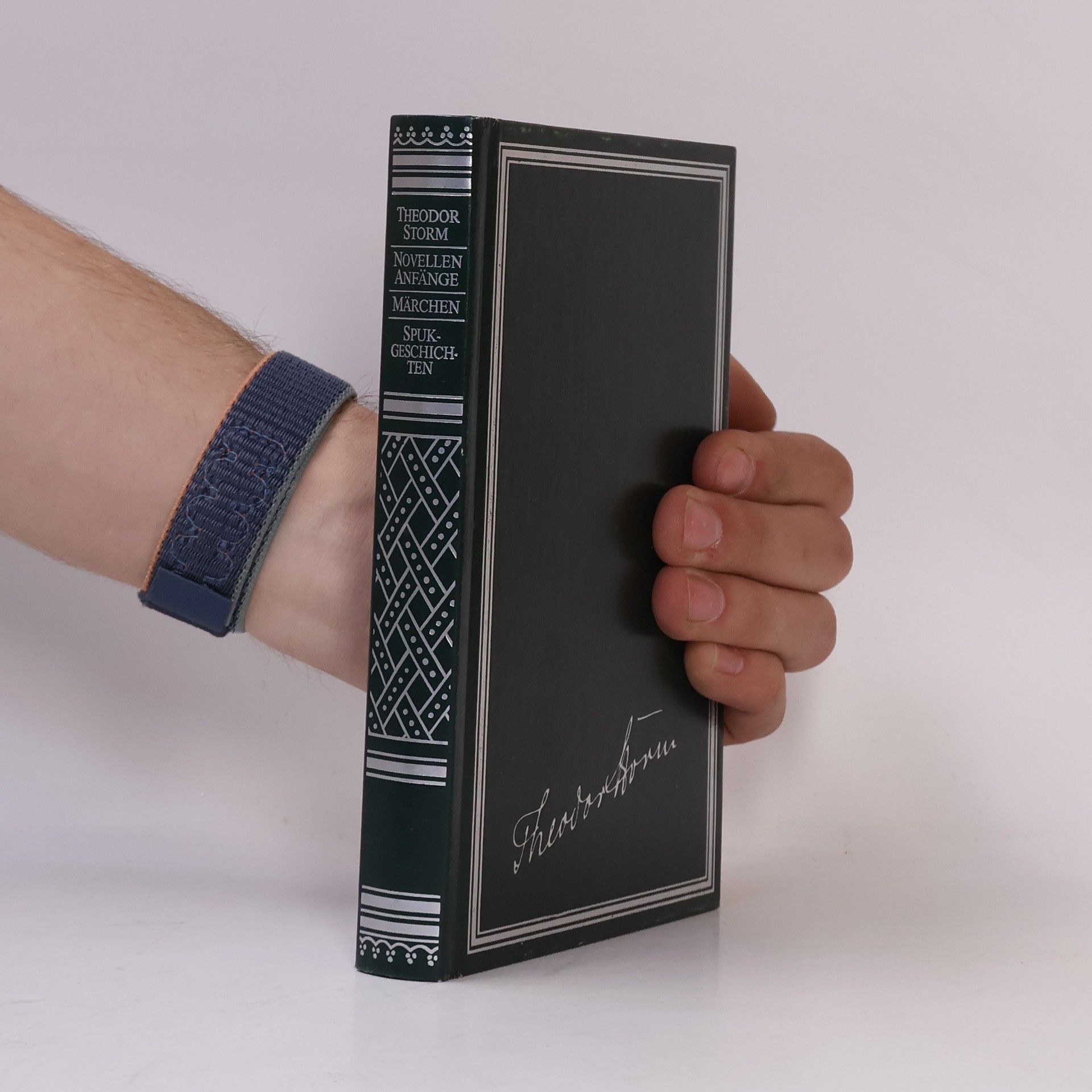 Theodor Storm Novellen Anfänge. Märchen. Spuk-Geschichten